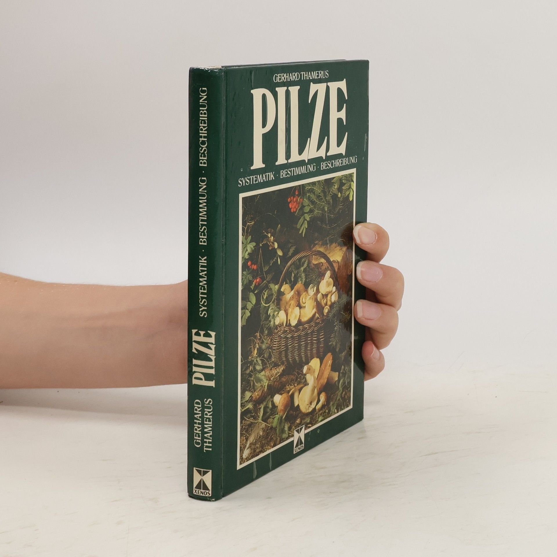 Gerhard Thamerus Pilze
