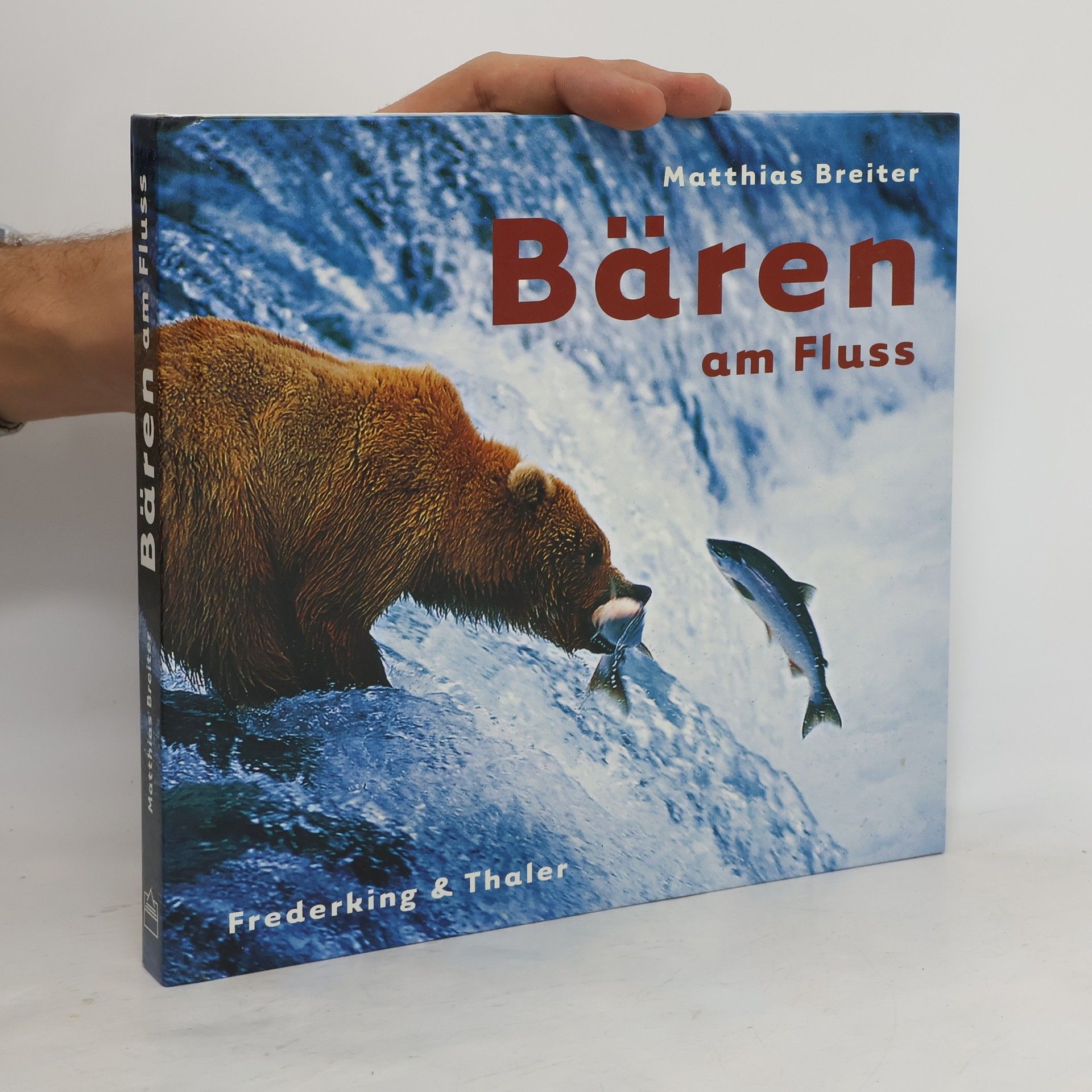 Matthias Breiter Bären am Fluss