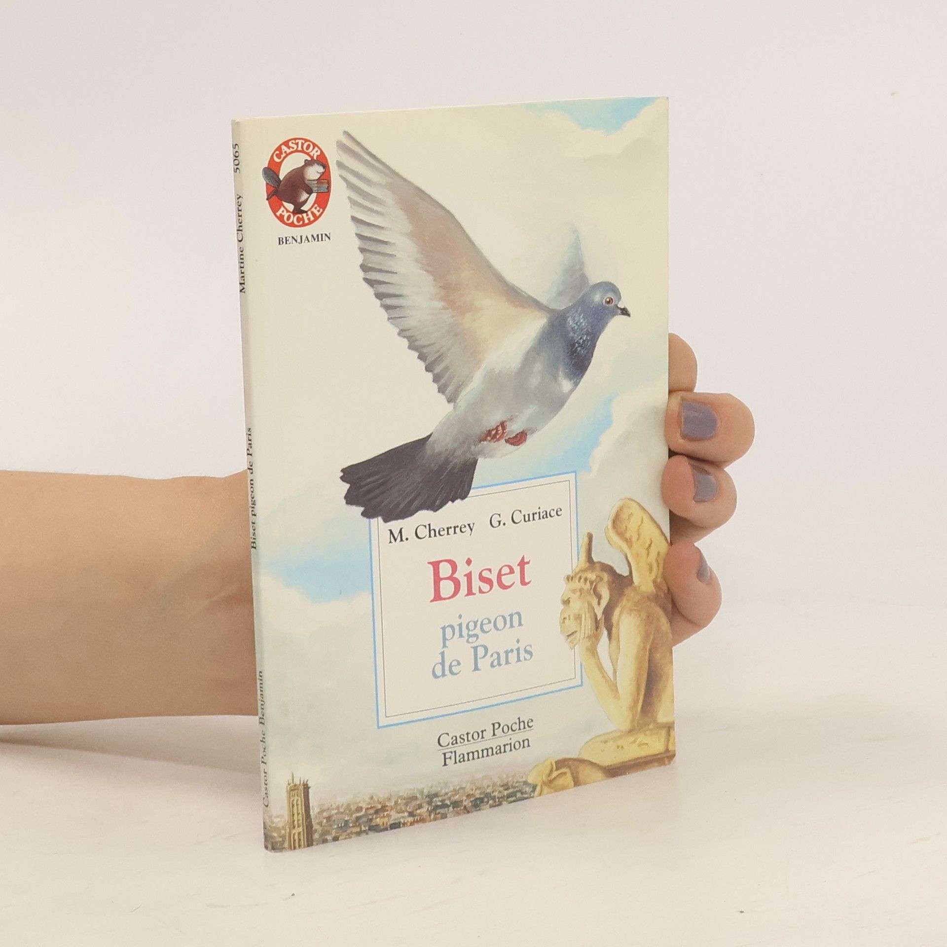Martine Cherrey Biset, pigeon de Paris