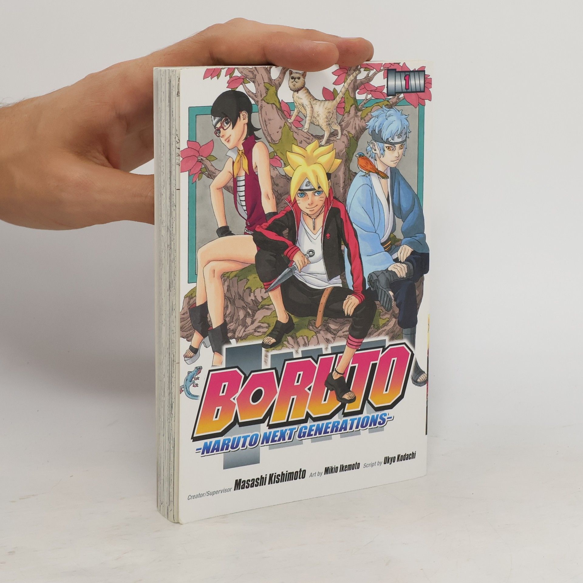 Ukyo Kodachi Boruto: I. díl