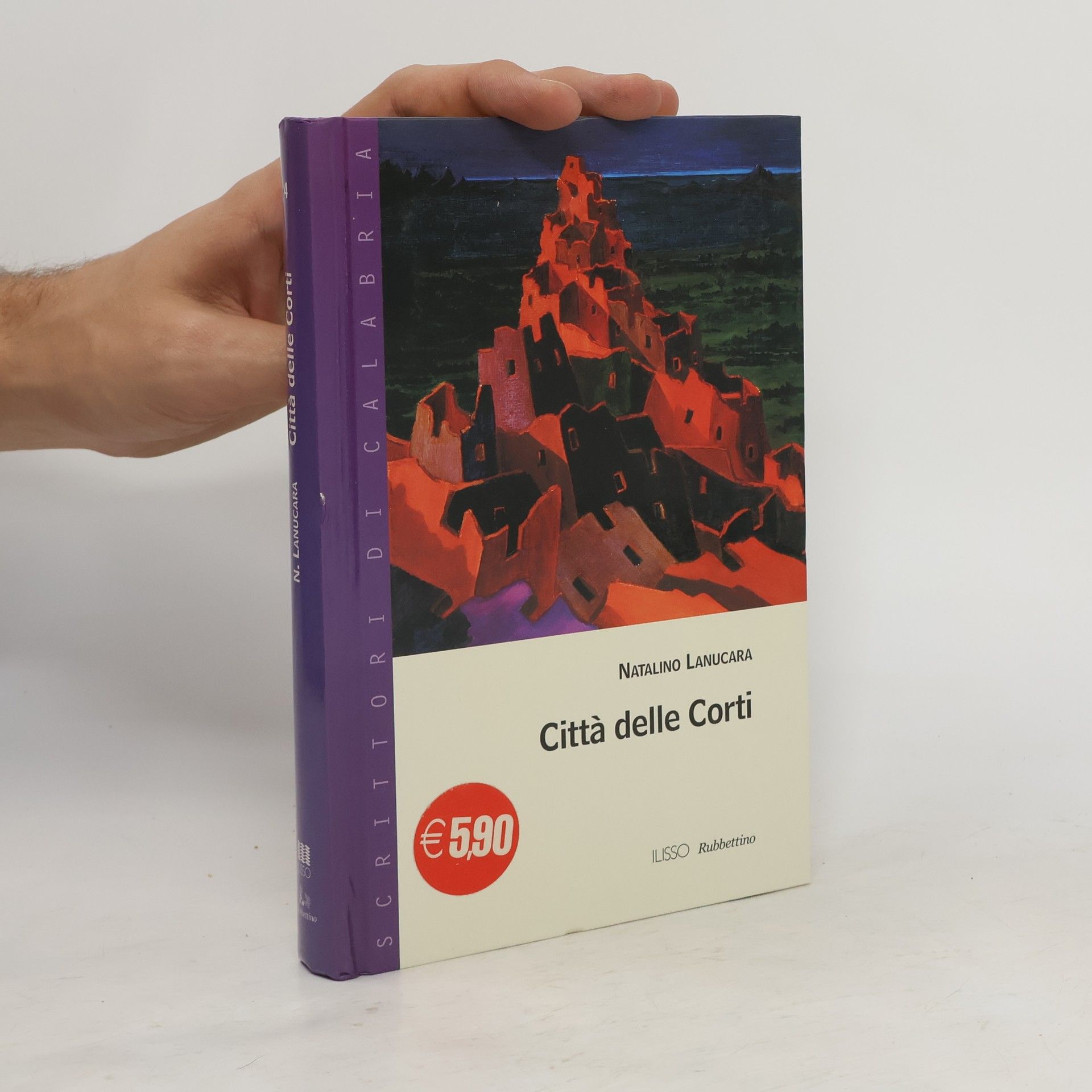 Natalino Lanucara Città delle corti