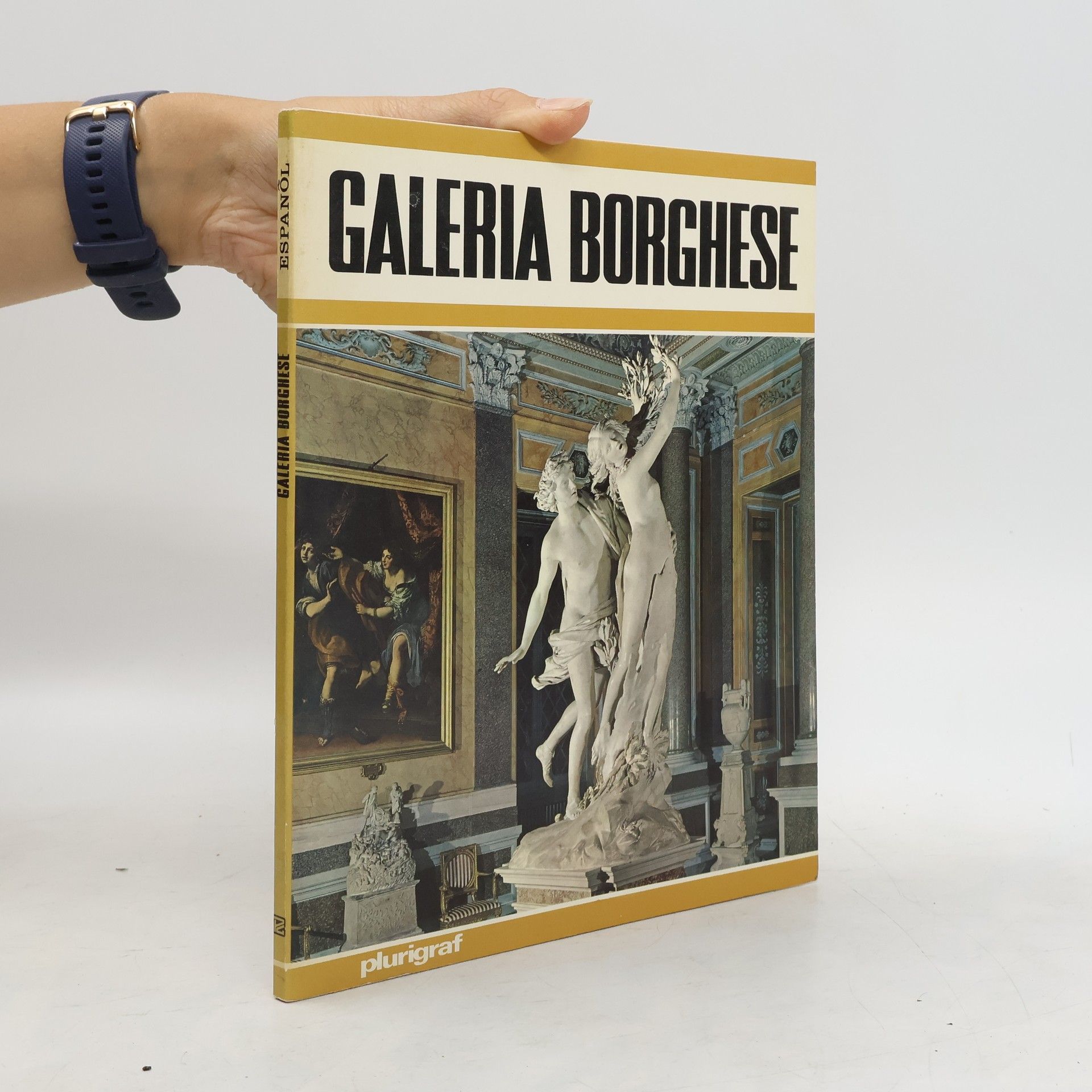 Collectif d'auteurs Galerìa Borghese