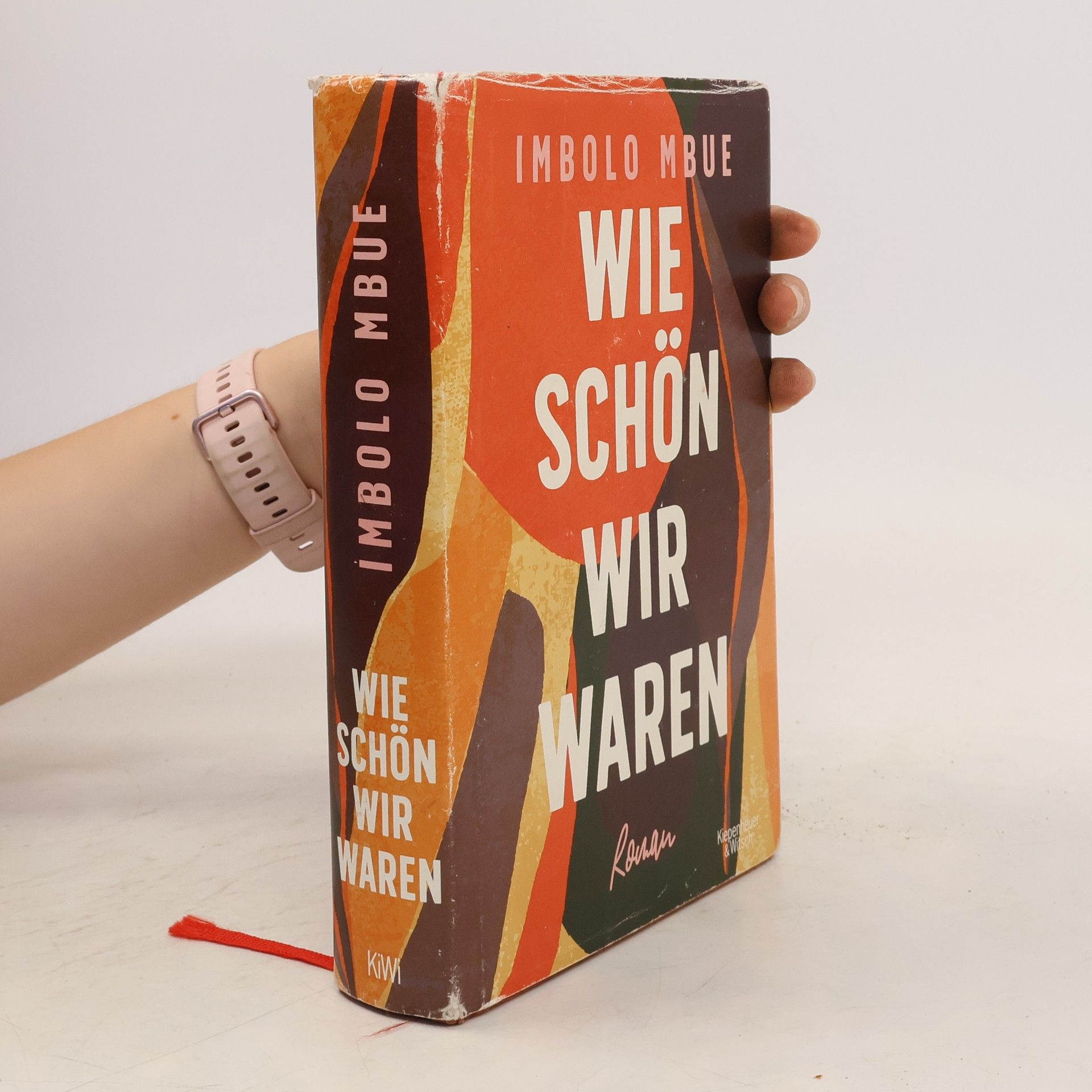 Imbolo Mbue Wie schön wir waren