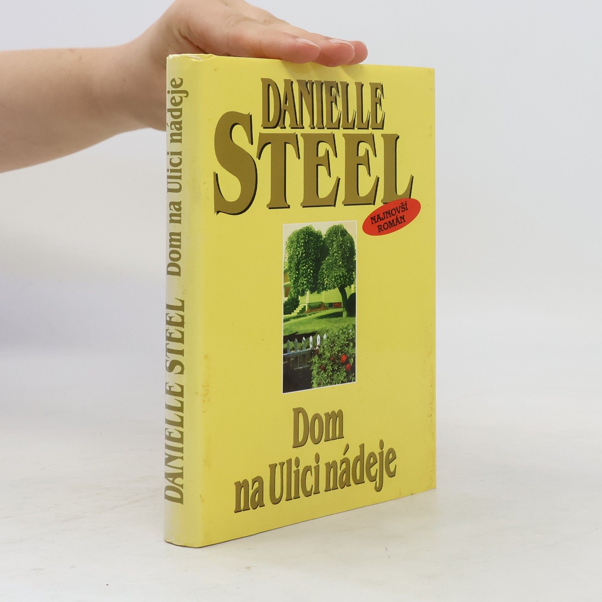 Danielle Steel Dom na Ulici nádeje