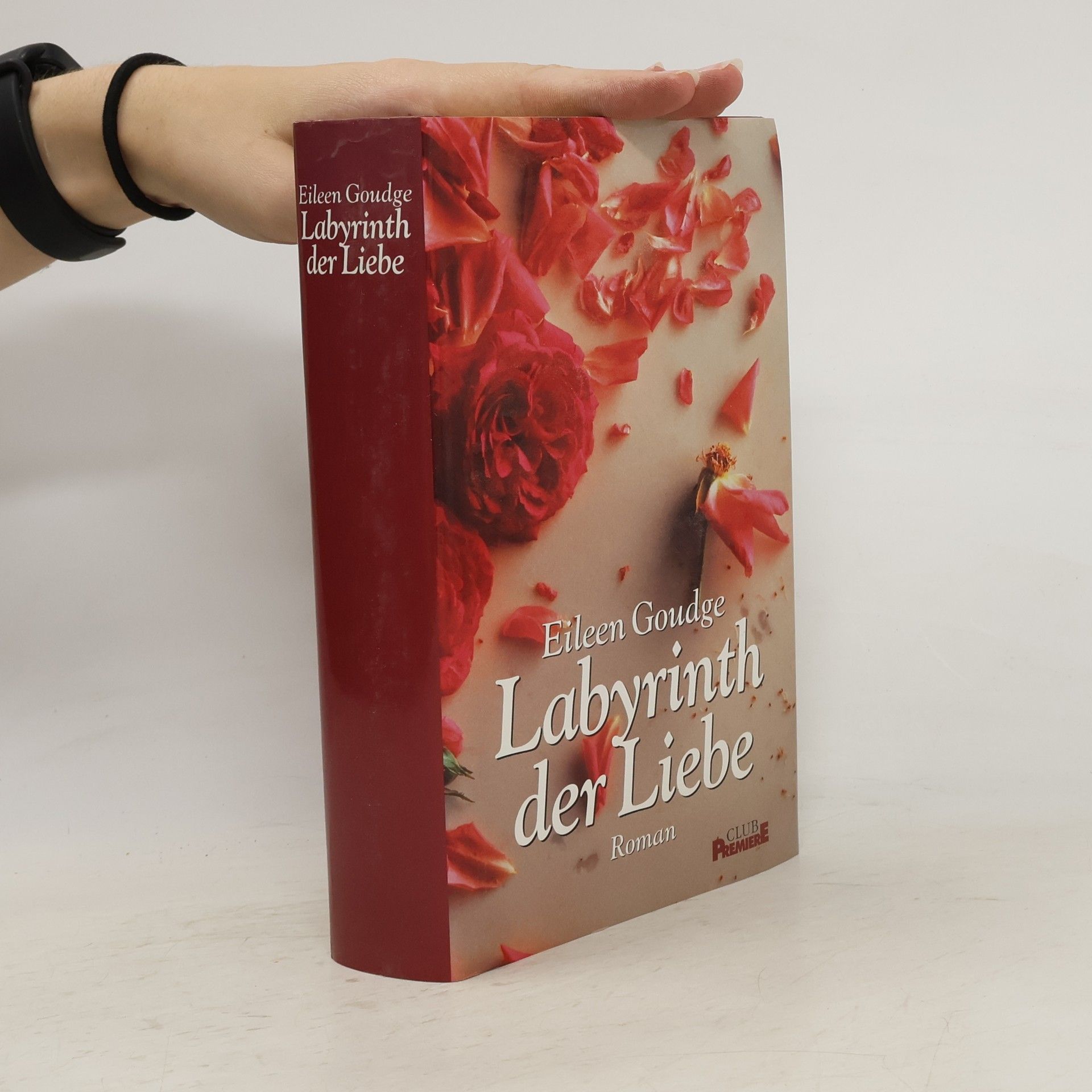 Eileen Goudge Labyrinth der Liebe
