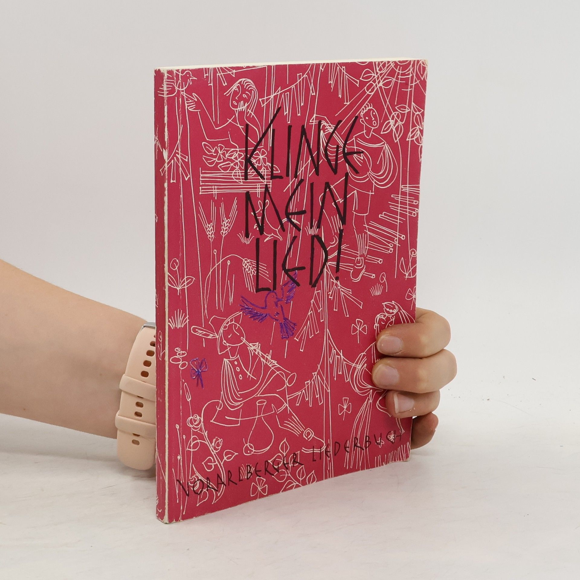 Collectif d'auteurs Klinge mein Lied!