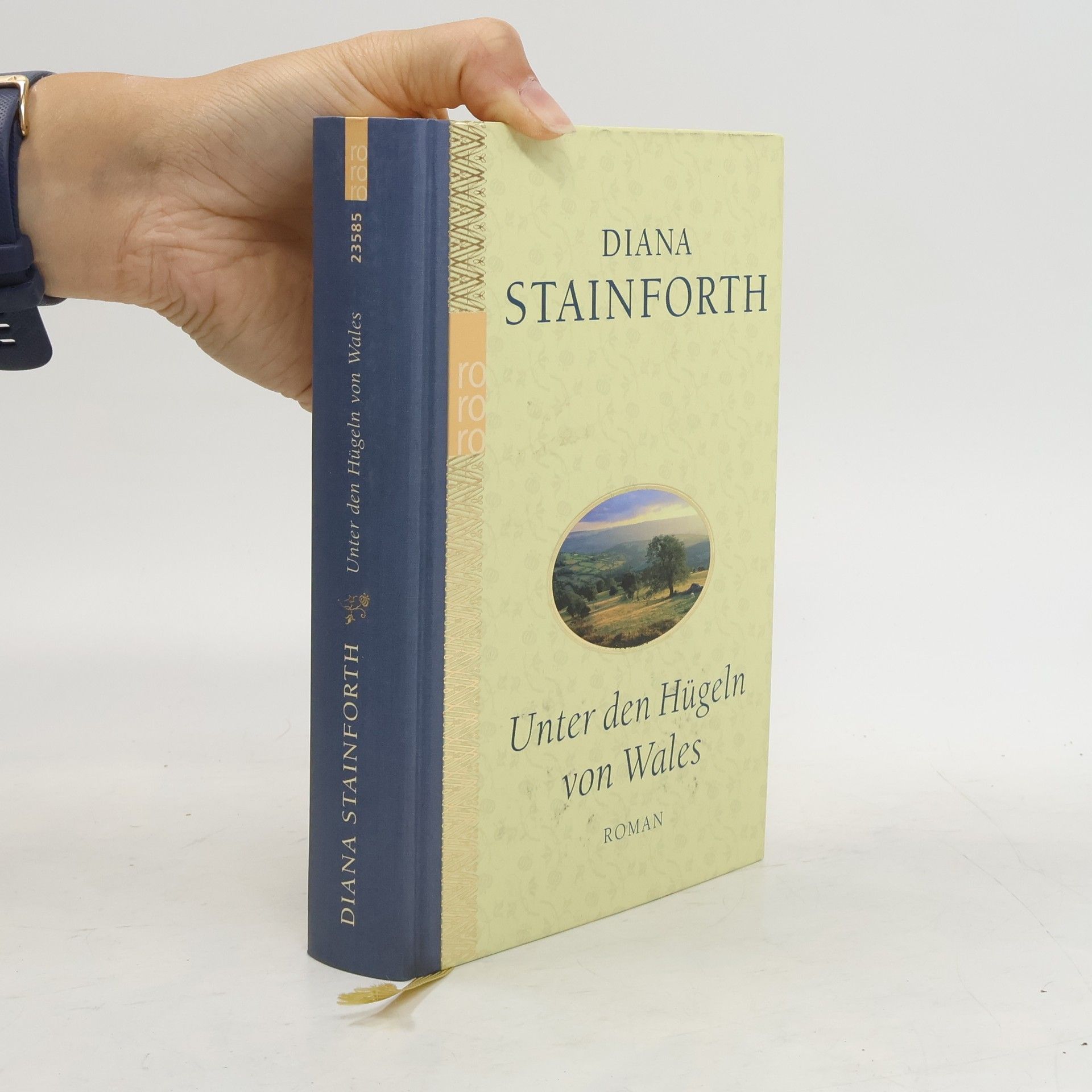 Diana Stainforth Unter den Hügeln von Wales