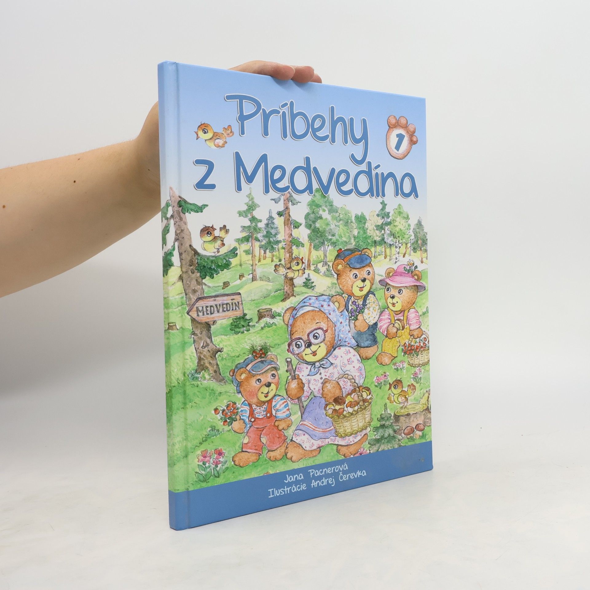 Jana Pacnerová Príbehy z Medvedína 1