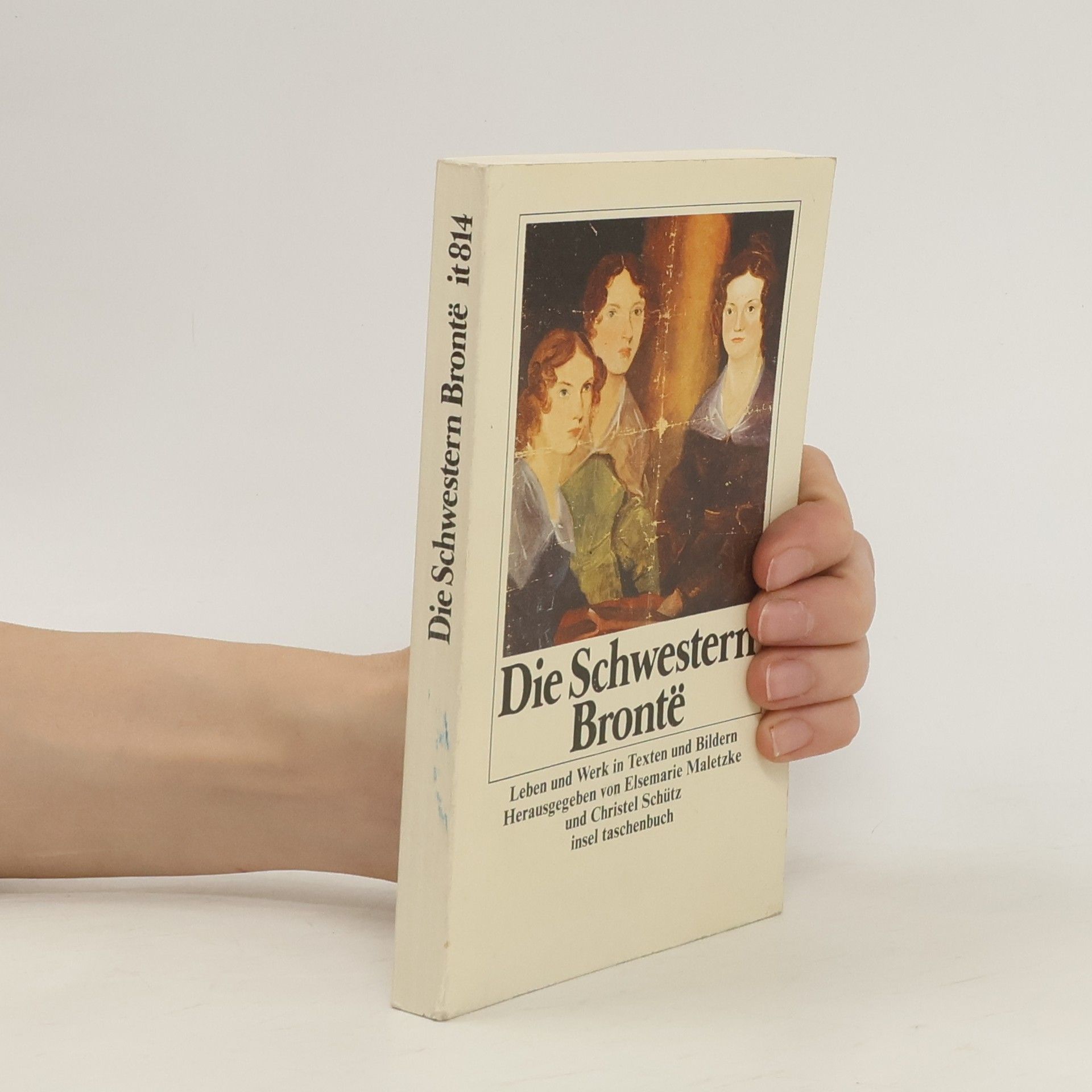 Elsemarie Maletzke Die Schwestern Bronte͏̈