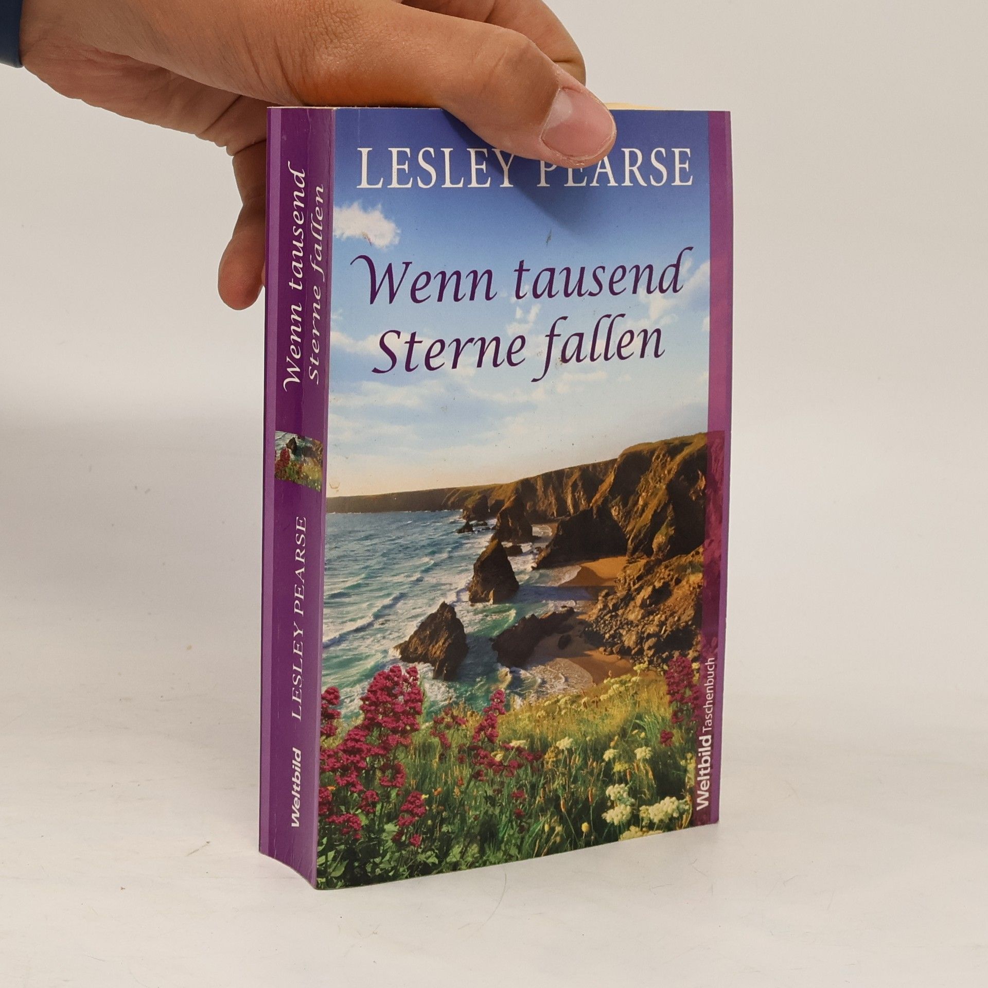 Lesley Pearse Wenn tausend Sterne fallen