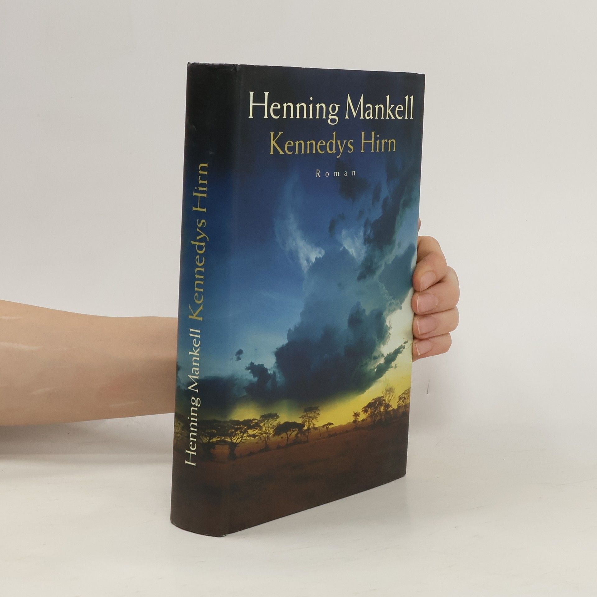 Henning Mankell Kennedys Hirn