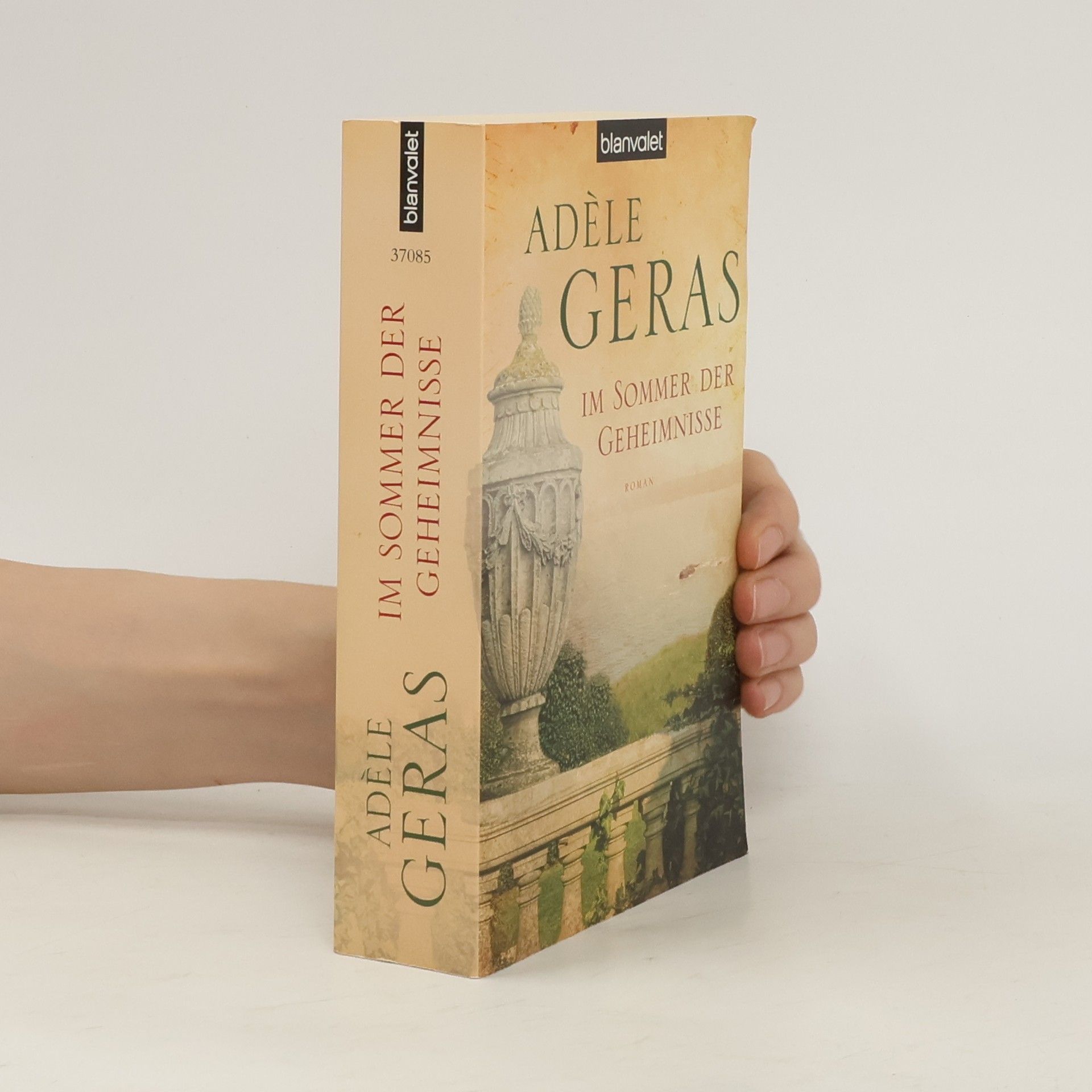 Adèle Geras Im Sommer der Geheimnisse