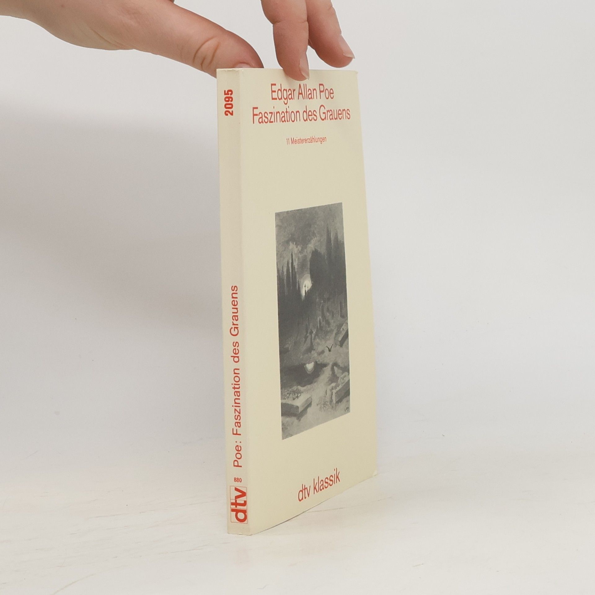 Edgar Allan Poe Faszination des Grauens. 11 Meistererzählungen