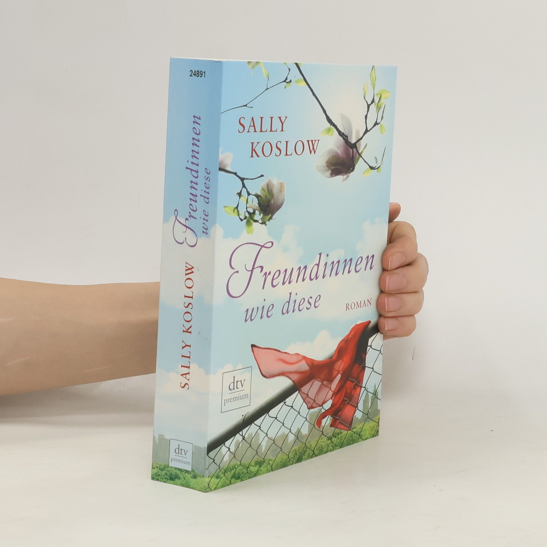 Sally Koslow Freundinnen wie diese