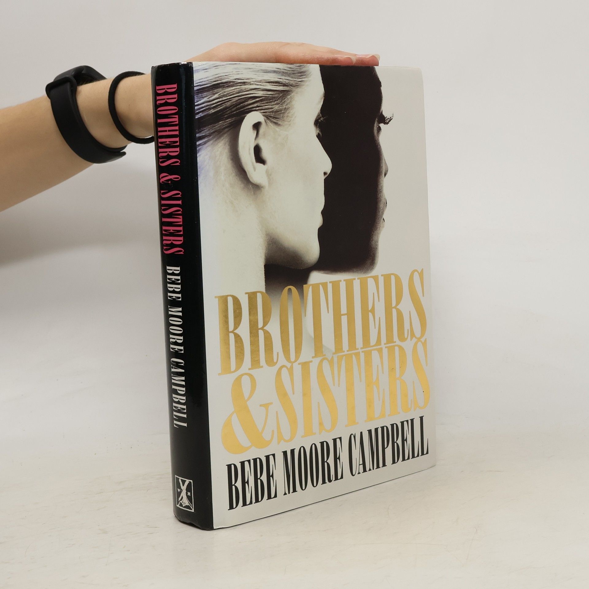 Bebe Moore Campbell Brothers and Sisters