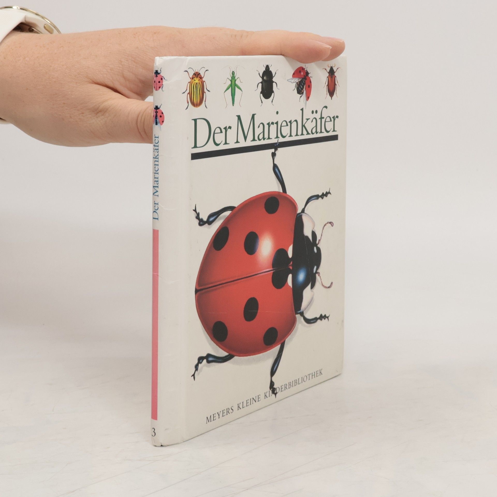 kolektiv Der Marienkäfer