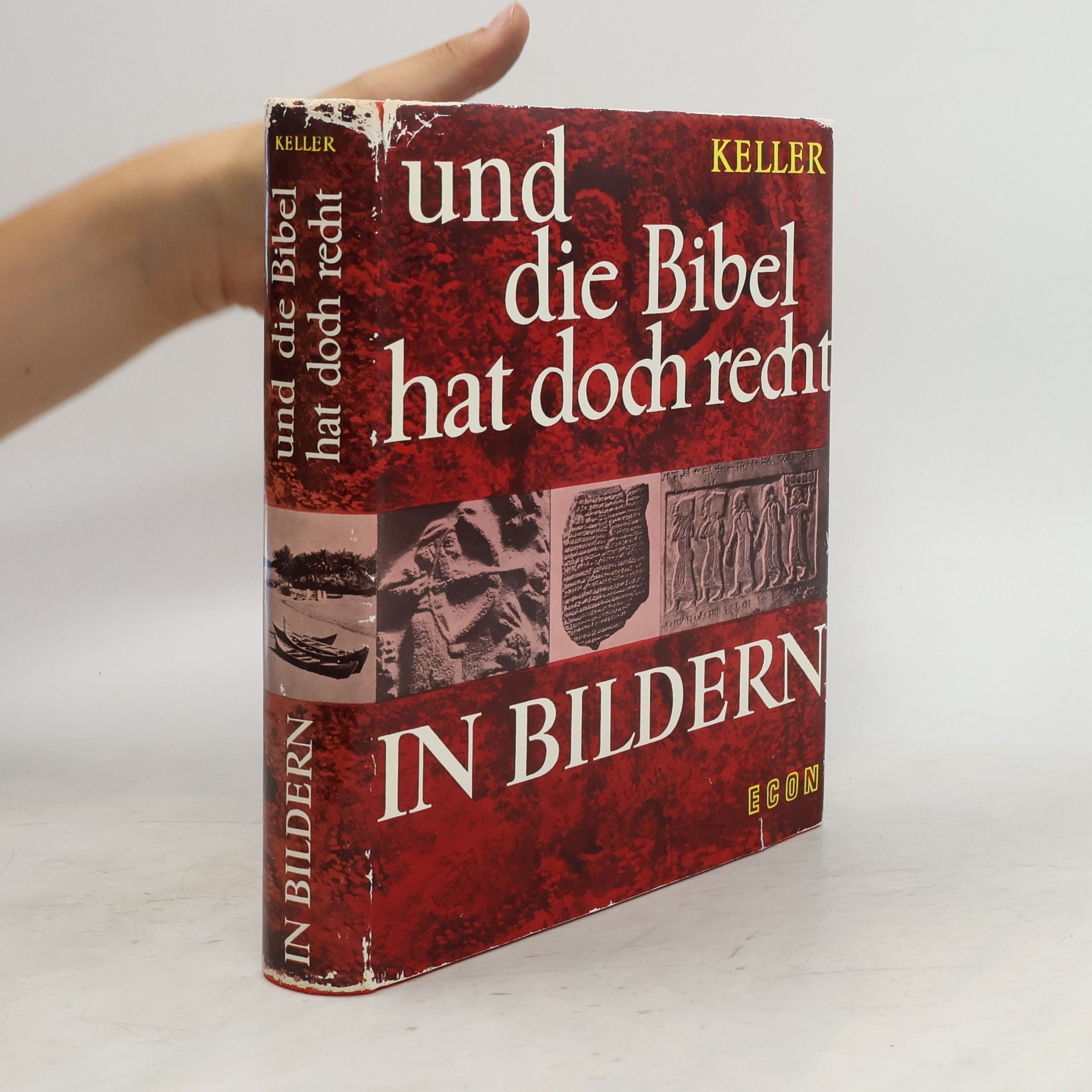 Werner Keller Und die Bibel hat doch recht in Bildern