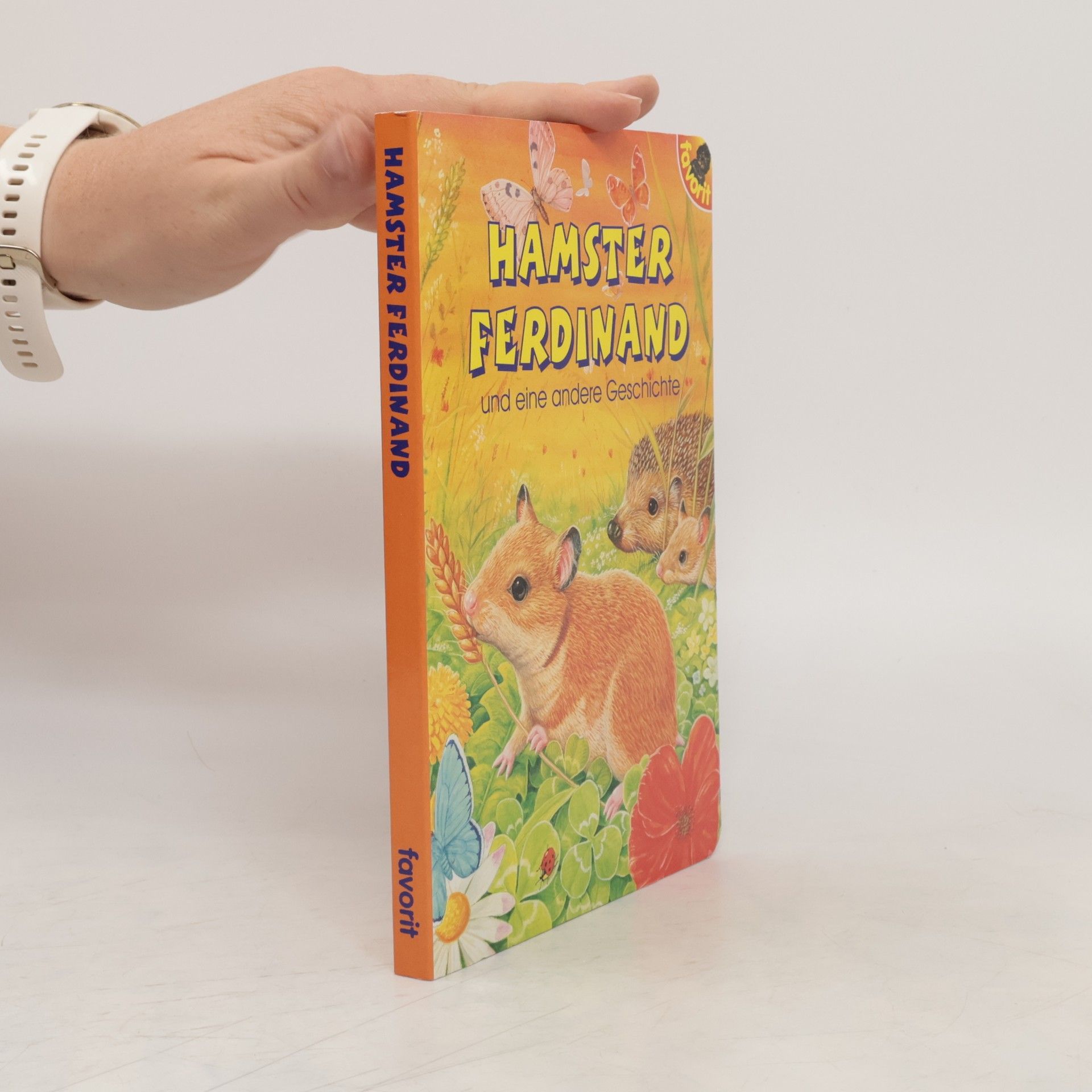 Günter Neidinger Hamster Ferdinand und eine andere Geschichte