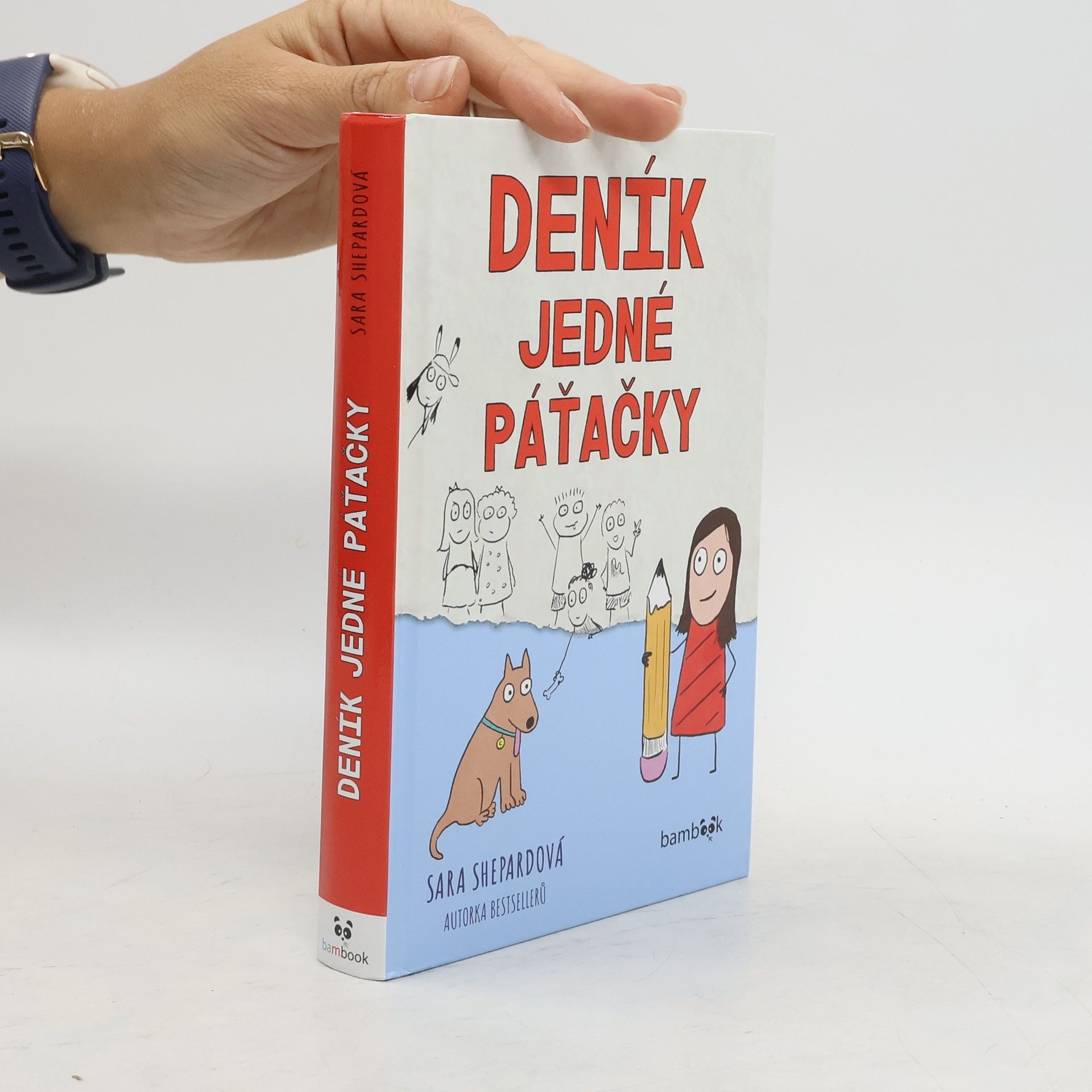 Sara Shepard Deník jedné páťačky