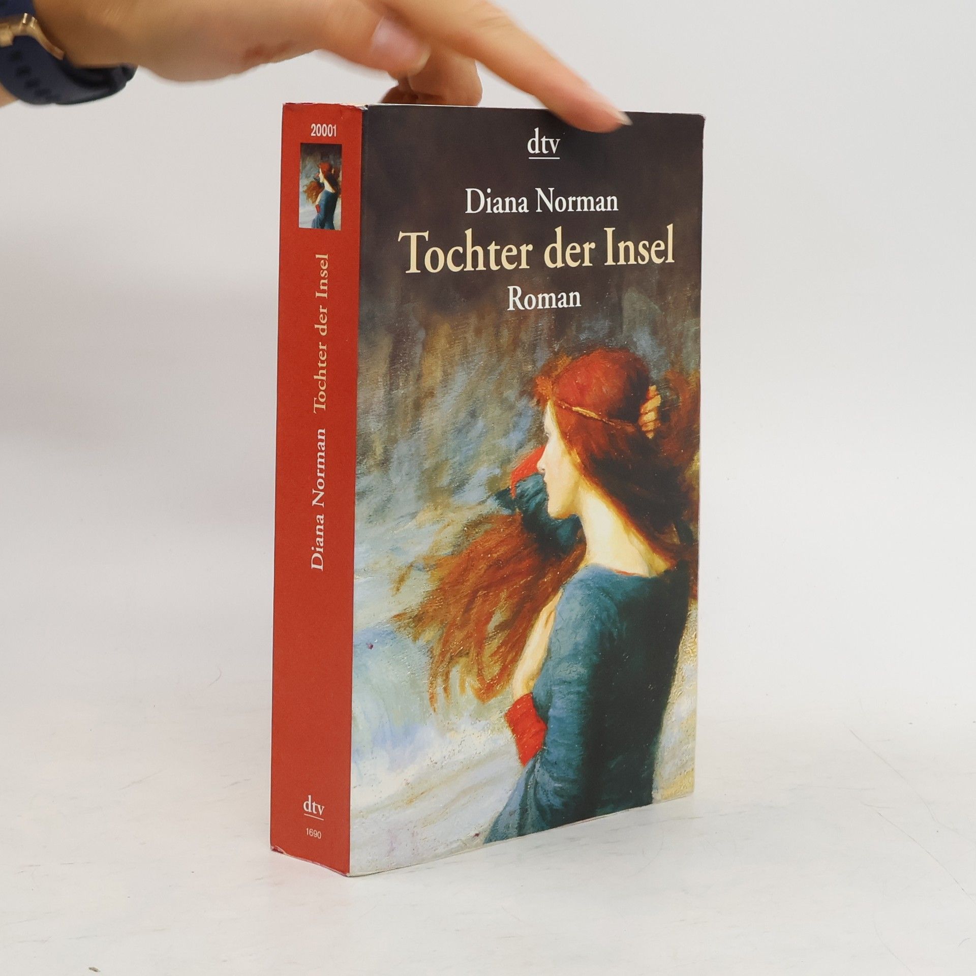 Diana Norman Tochter der Insel