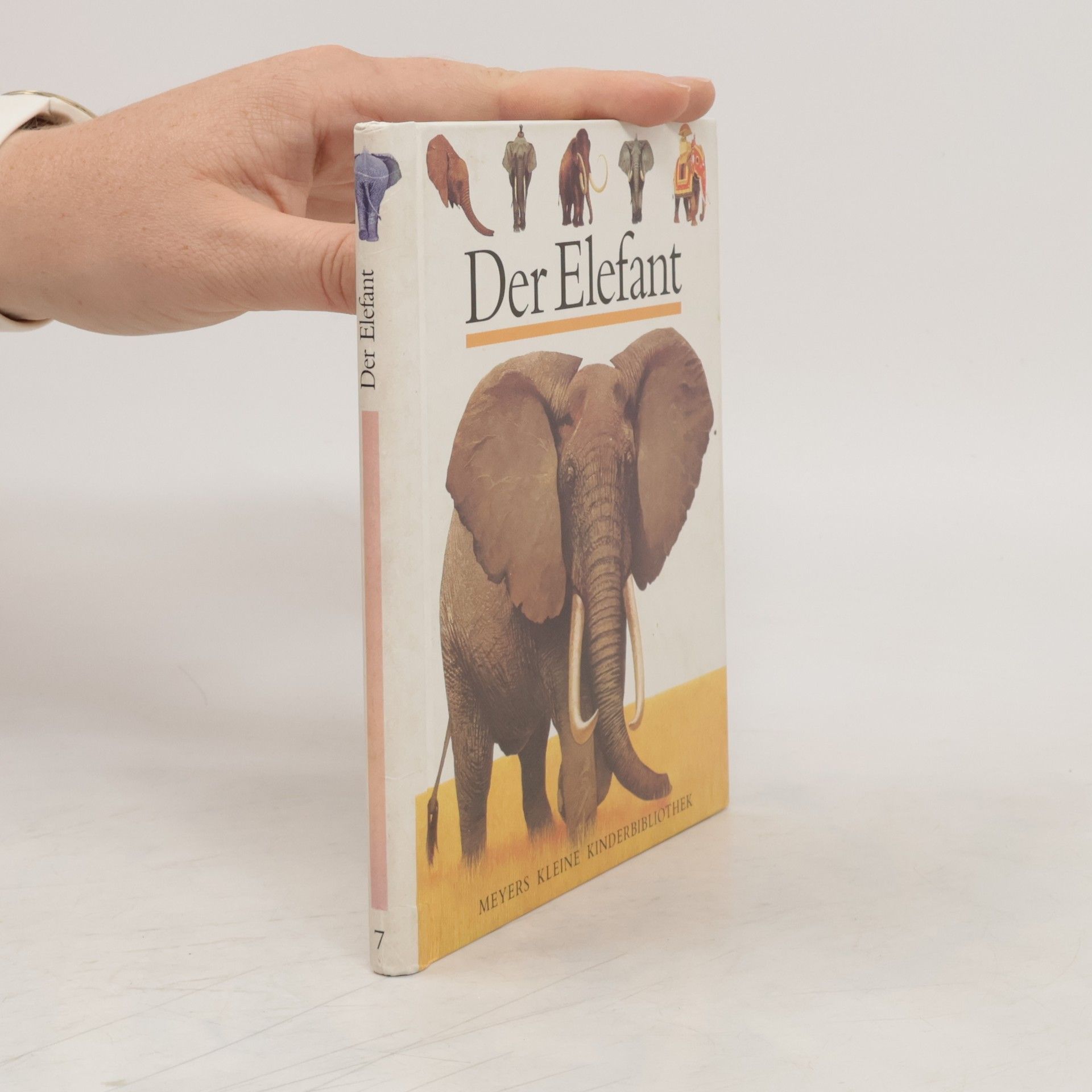 Jame Prunier Der Elefant