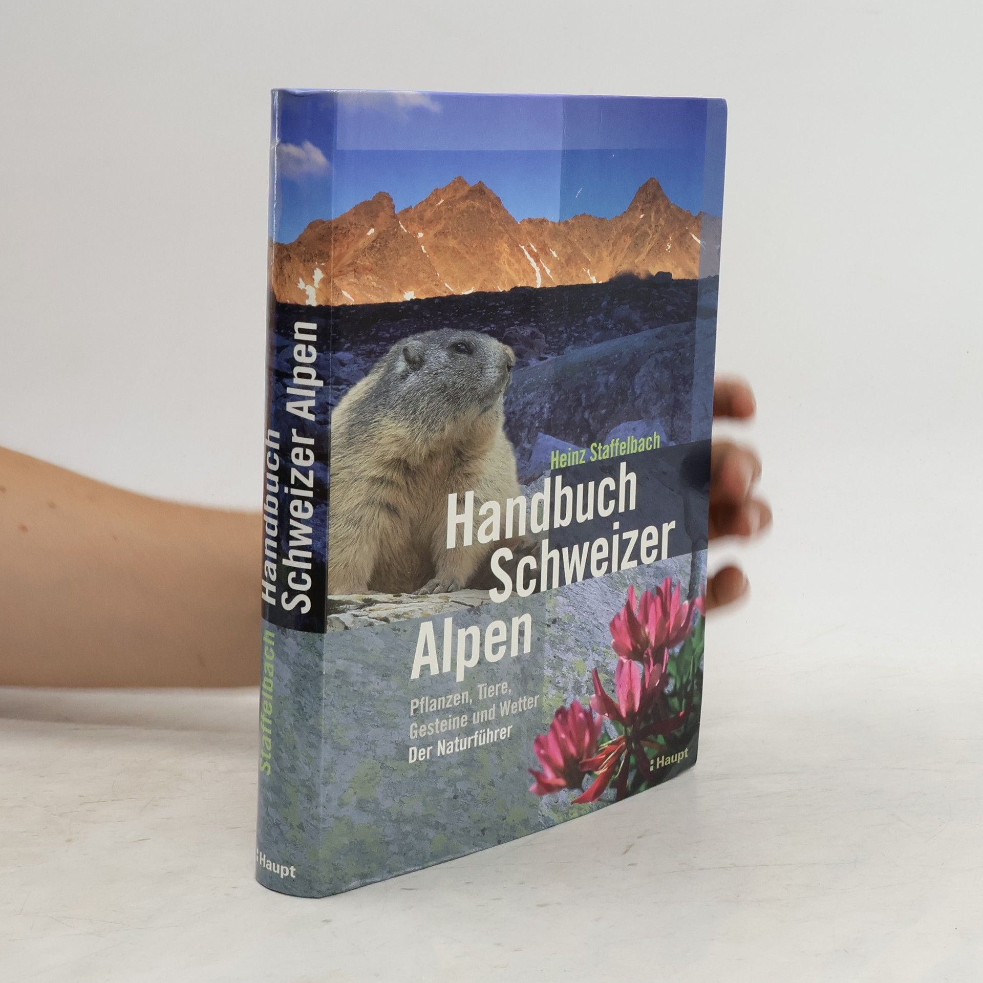 Heinz Staffelbach Handbuch Schweizer Alpen