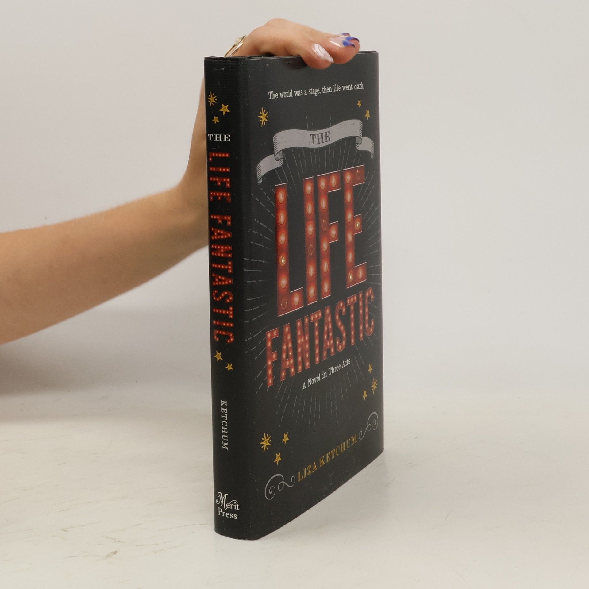 Liza Ketchum The Life Fantastic