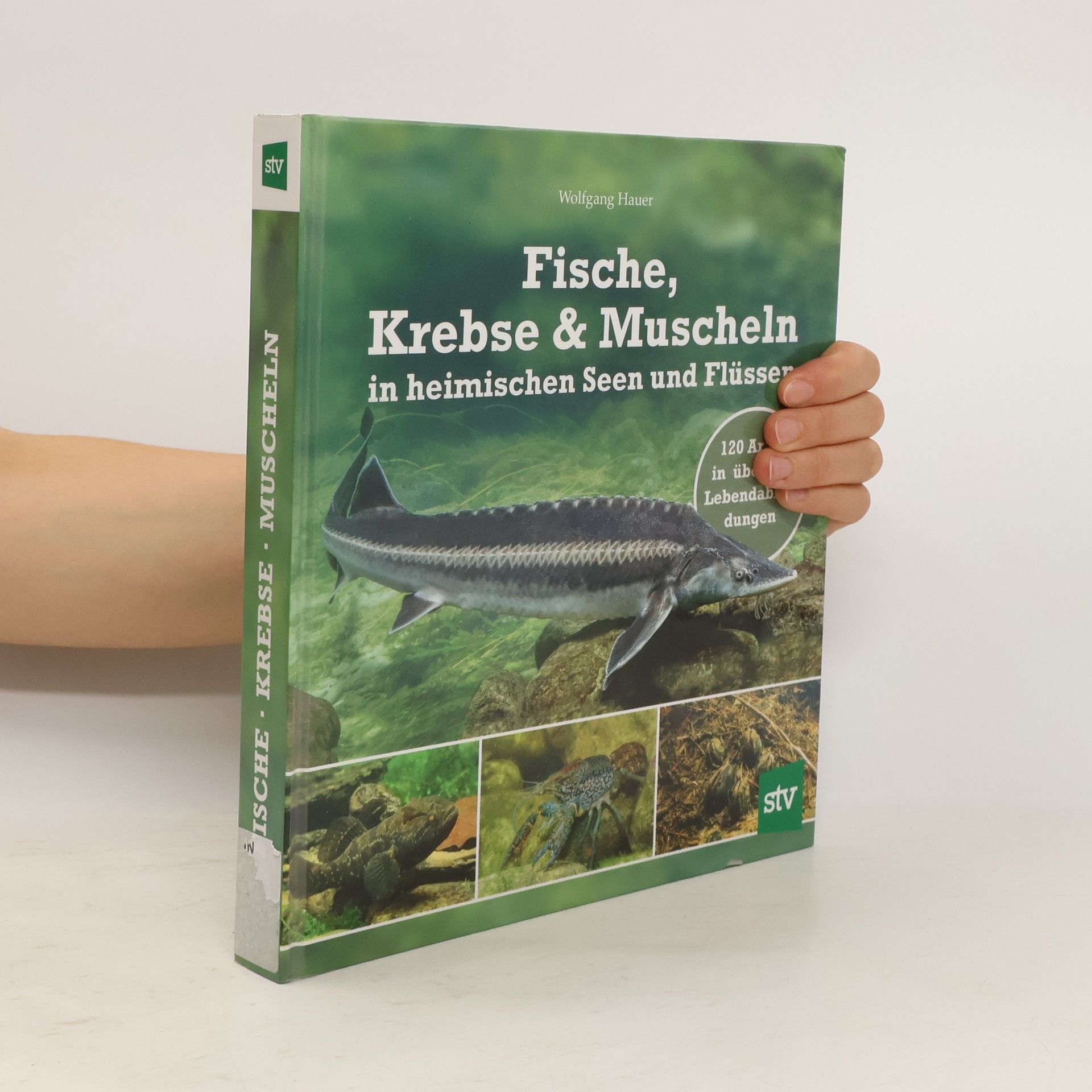 Wolfgang Hauer Fische, Krebse & Muscheln in heimischen Seen und Flüssen