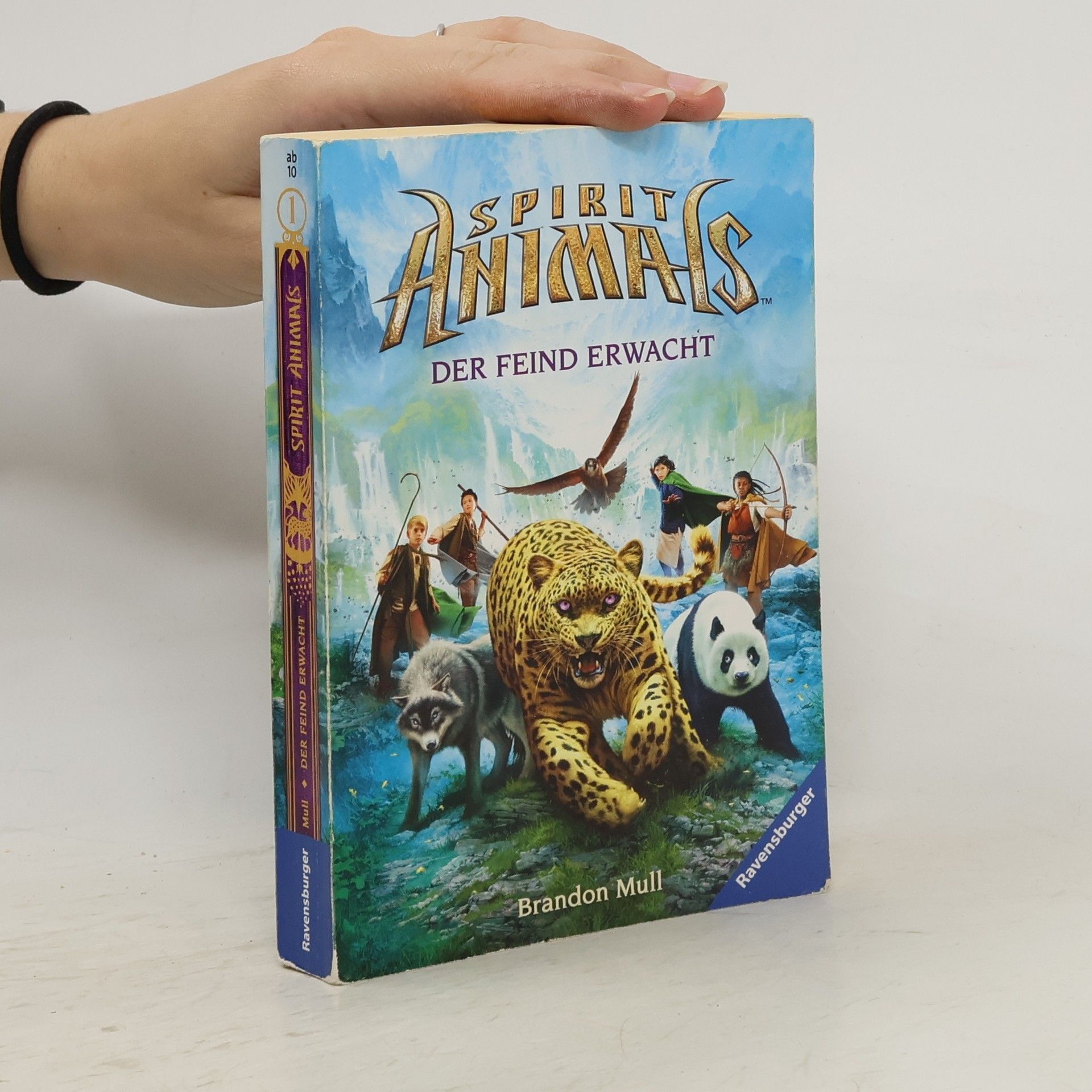 Brandon Mull Spirit Animals 1