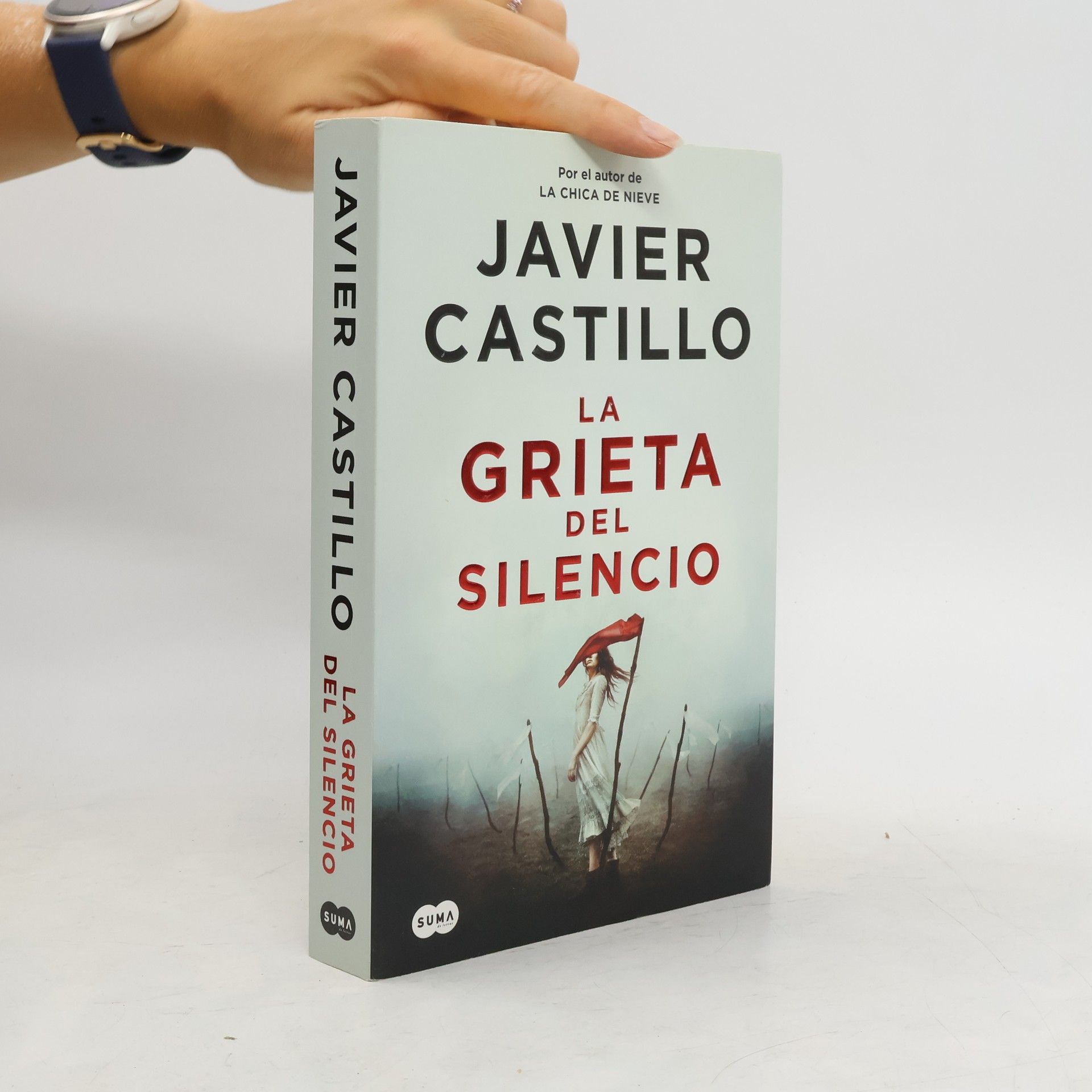 Javier Castillo La Grieta del Silencio