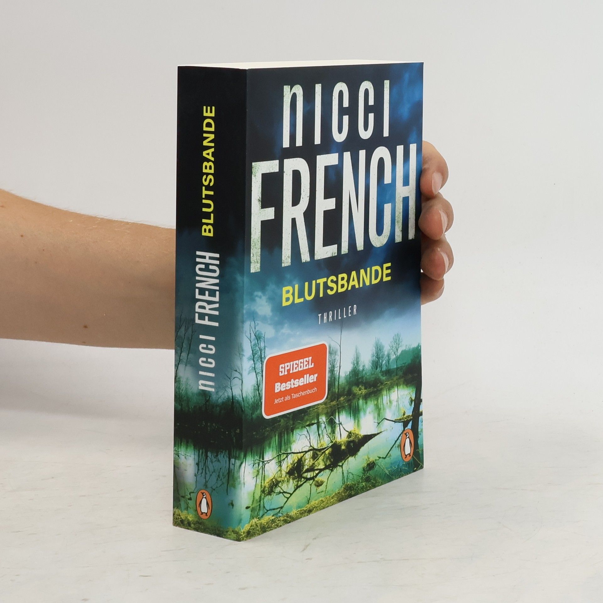 Nicci French Blutsbande