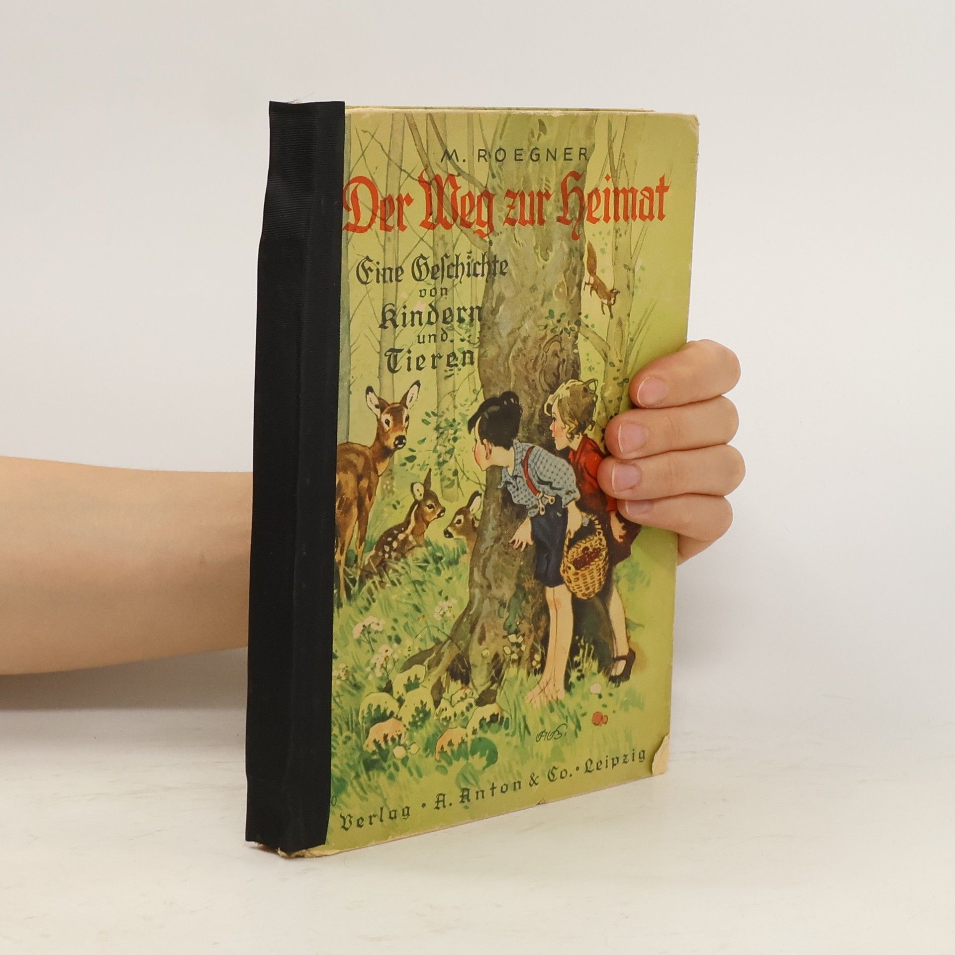 Martha Roegner Der Weg zur Heimat