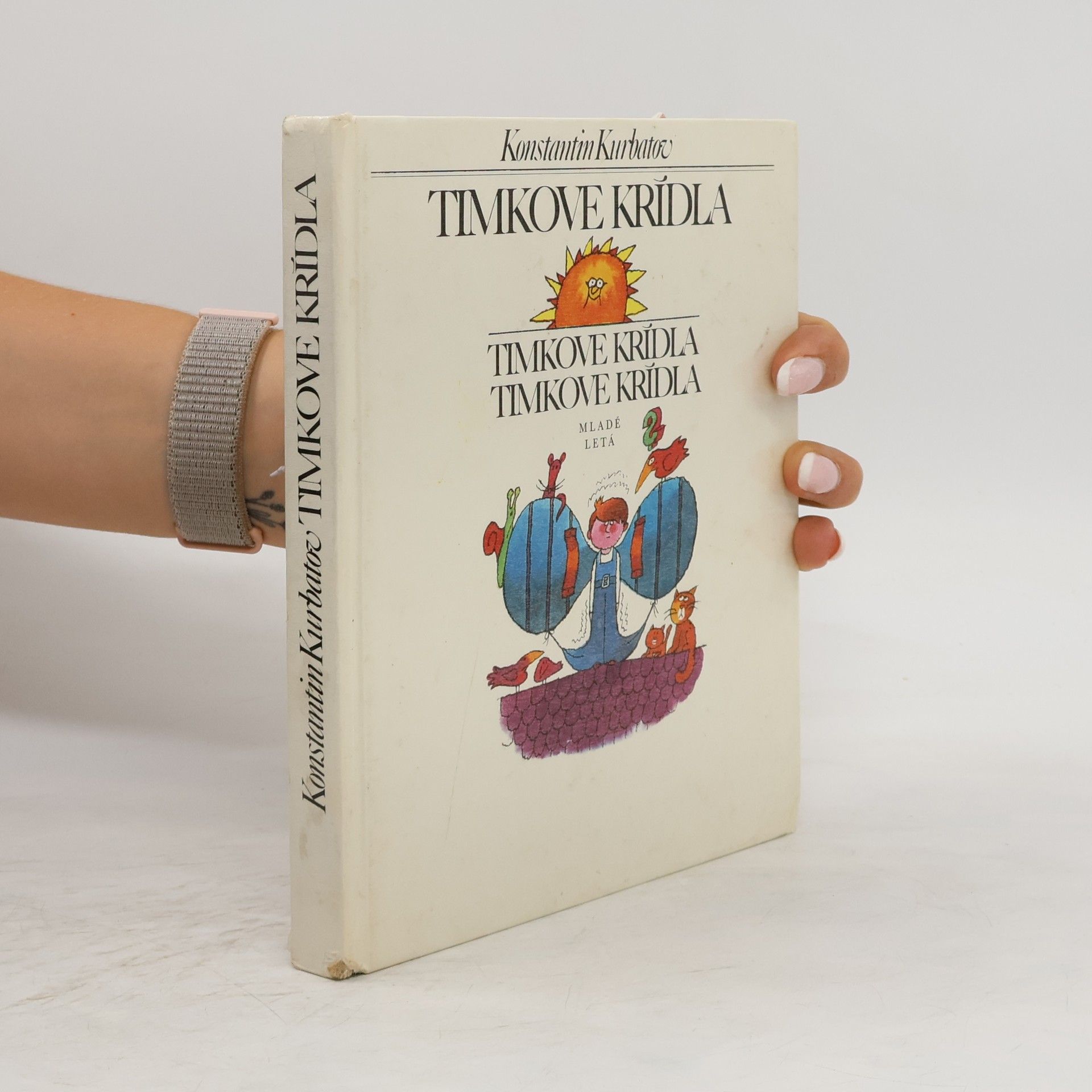 Konstantin Kurbatov Timkove krídla