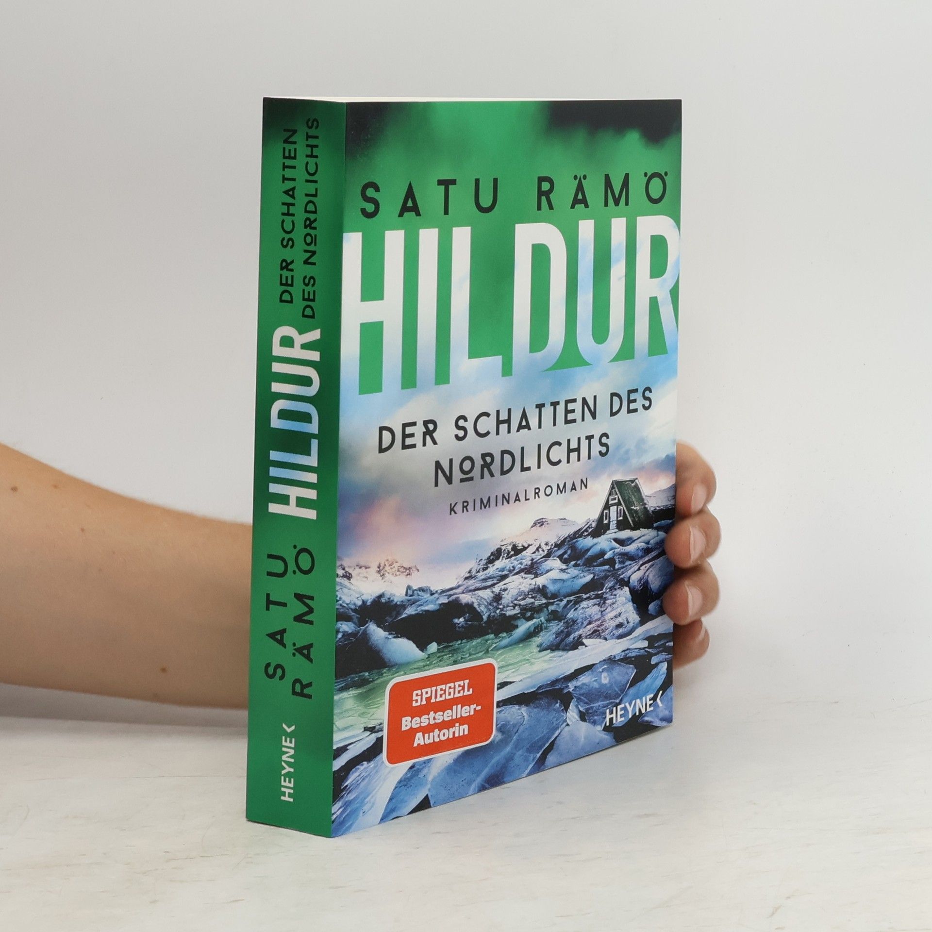 Satu Rämö Hildur – Der Schatten des Nordlichts. Kriminalroman
