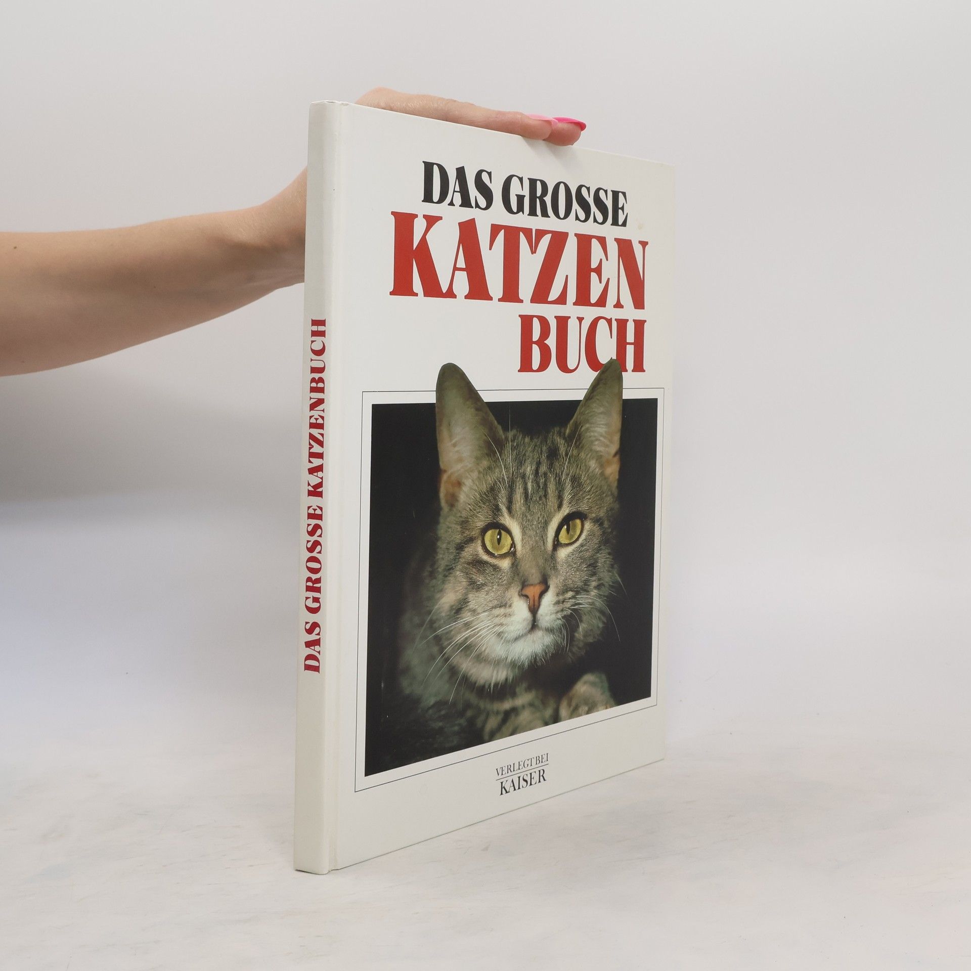 Anna Sproule Das grosse Katzenbuch