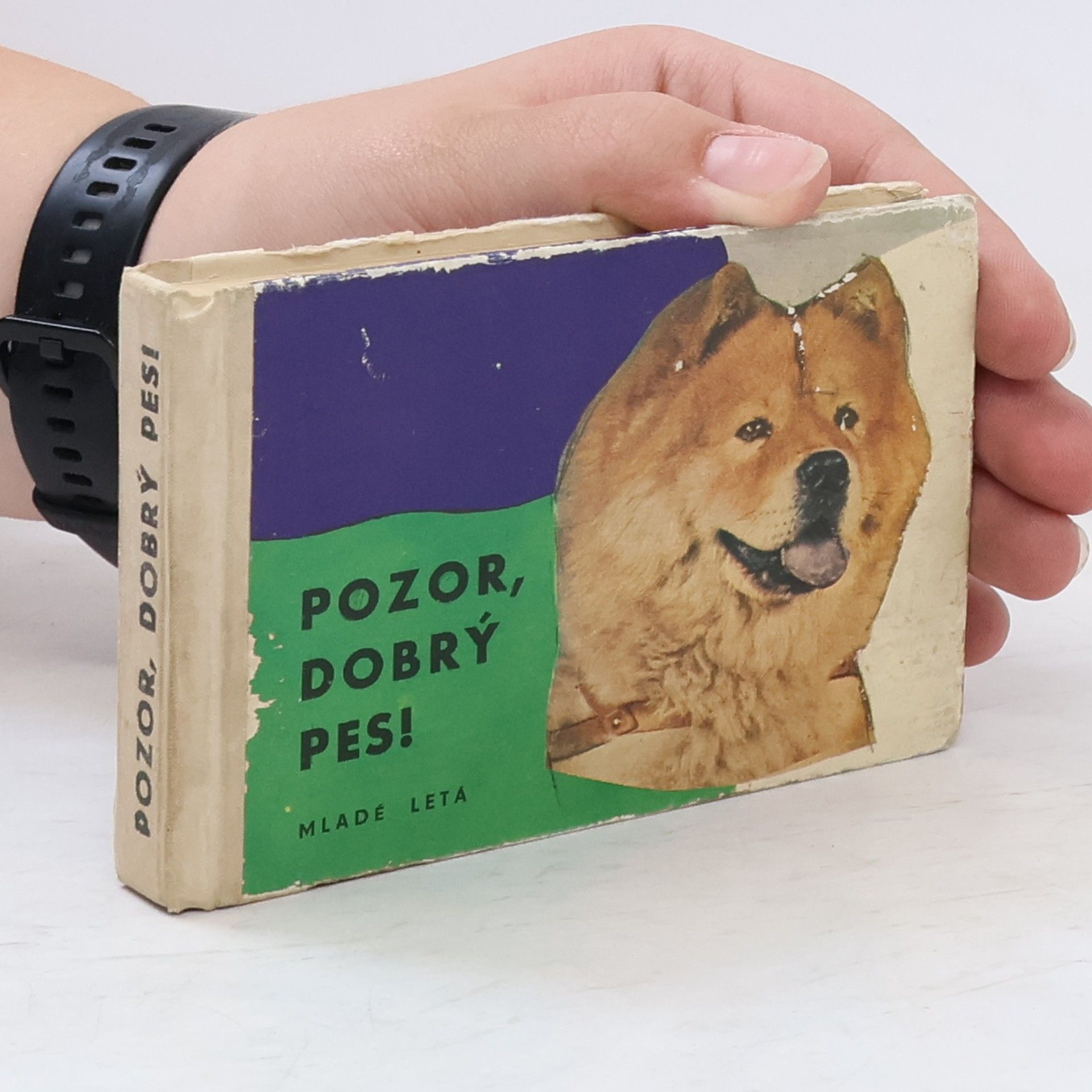Ján Duračinský Pozor, dobrý pes!