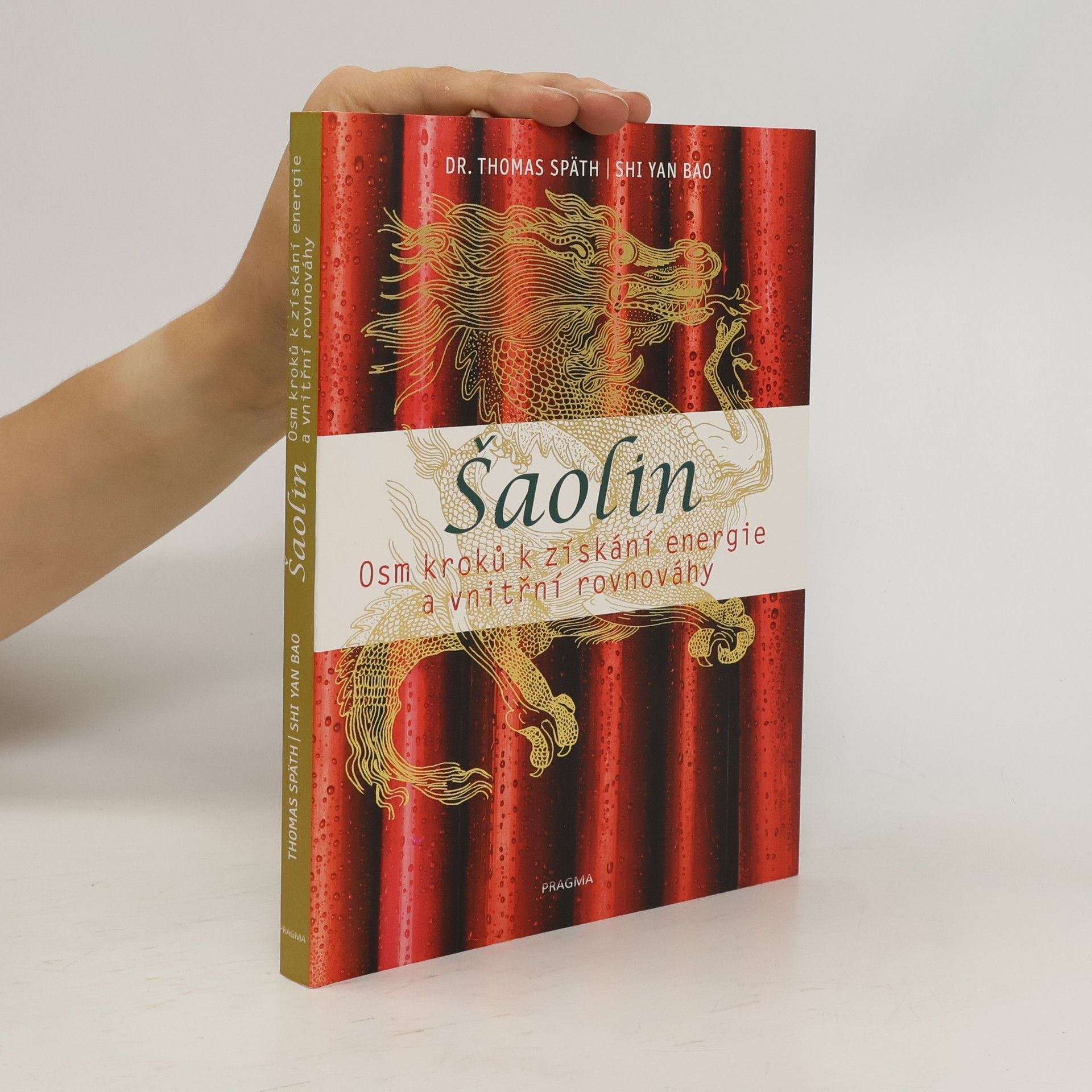 Šaolin. Osm kroků k získání energie a vnitřní rovnováhy