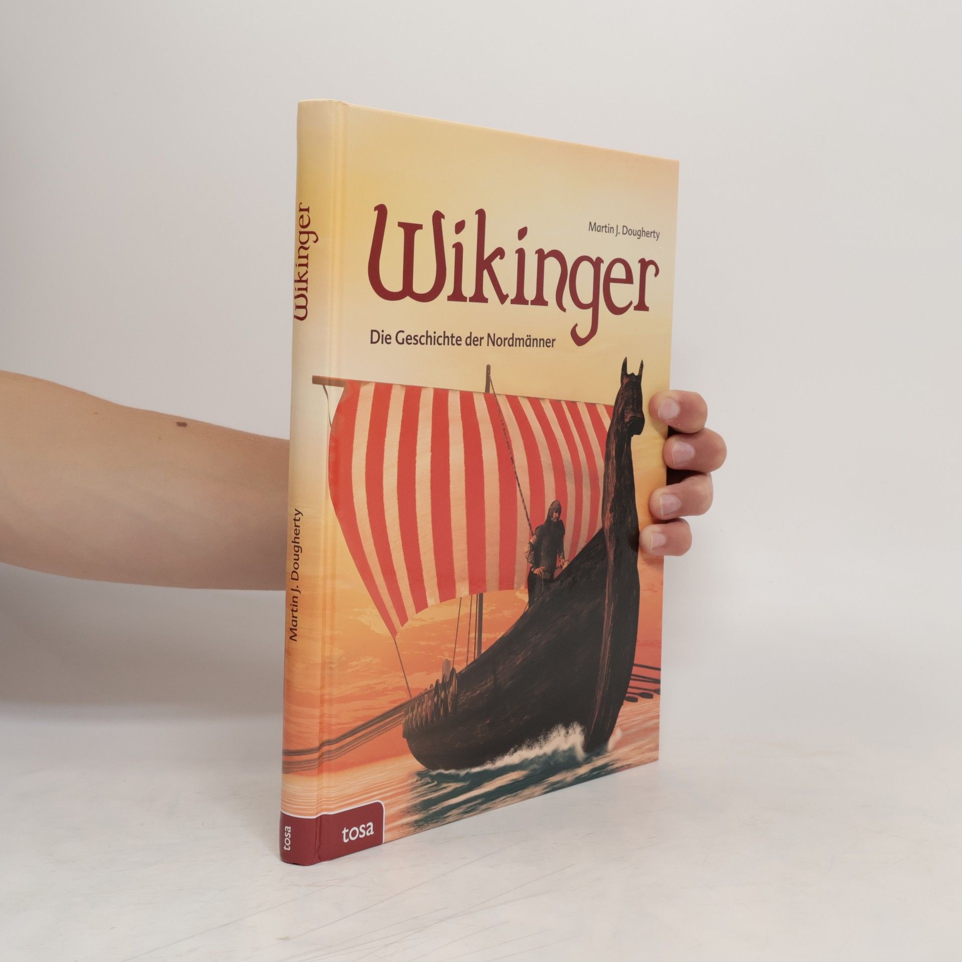 Martin J. Dougherty Wikinger