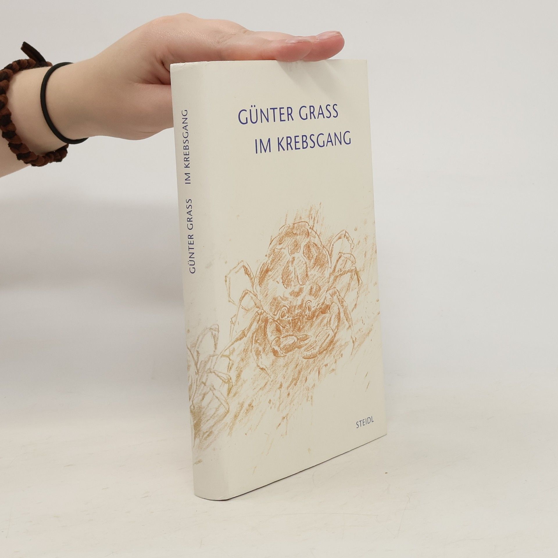 Günter Grass Im Krebsgang : eine Novelle