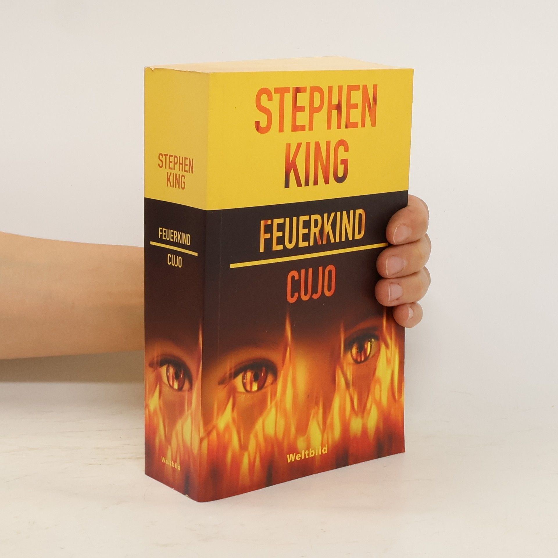 Stephen King Feuerkind; Cujo
