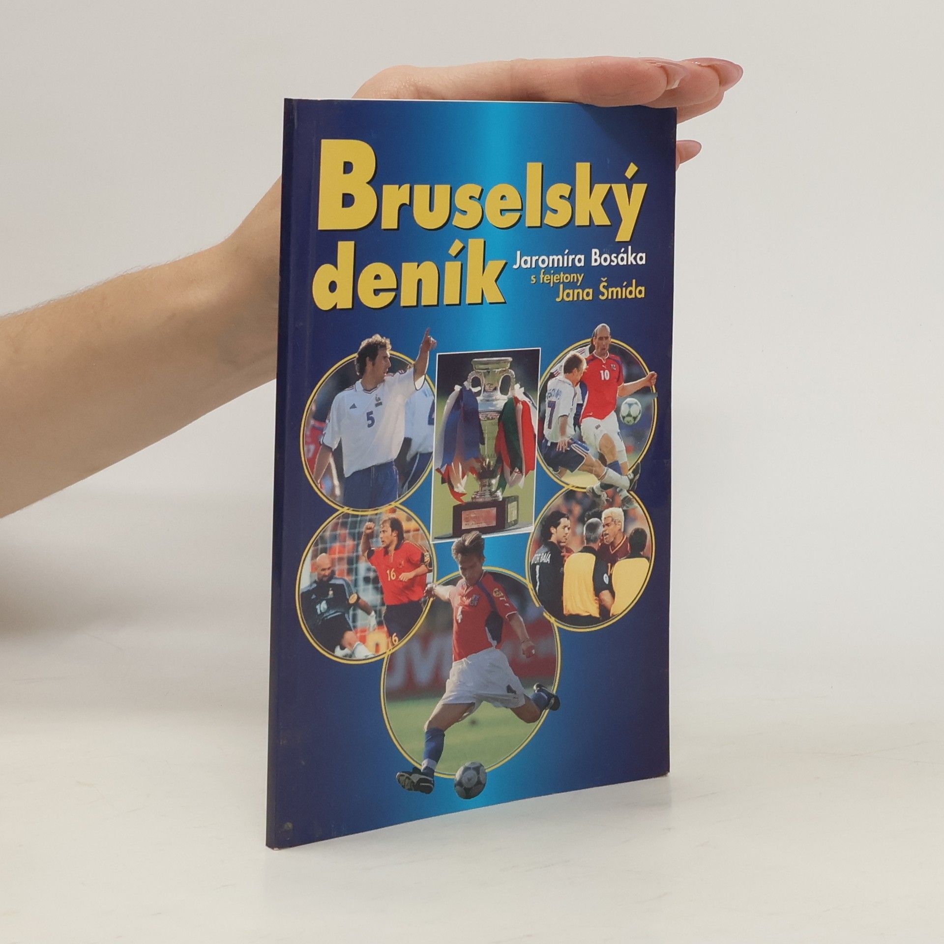 Jaromír Bosák Bruselský deník Jaromíra Bosáka