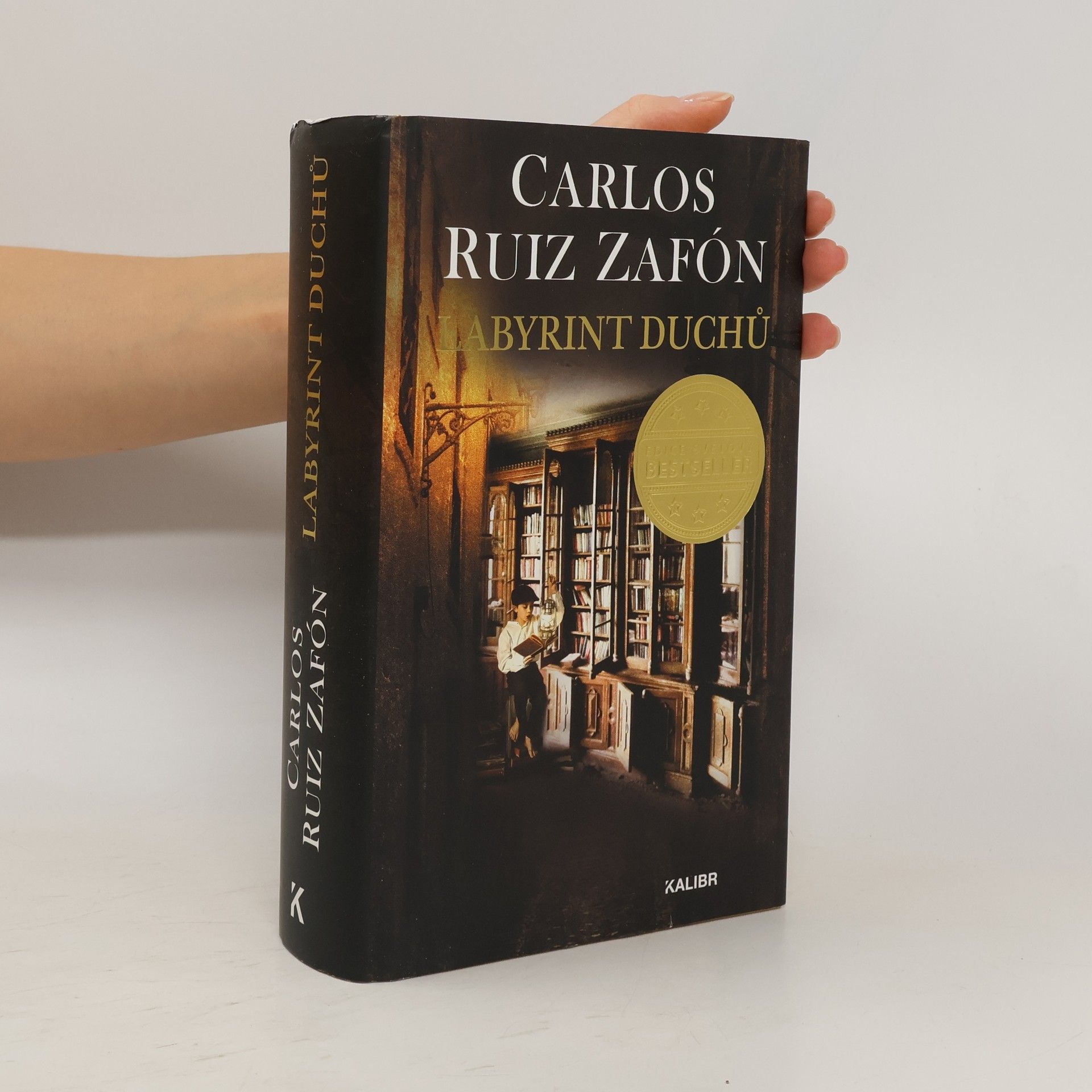 Carlos Ruis Zafon Labyrint duchů