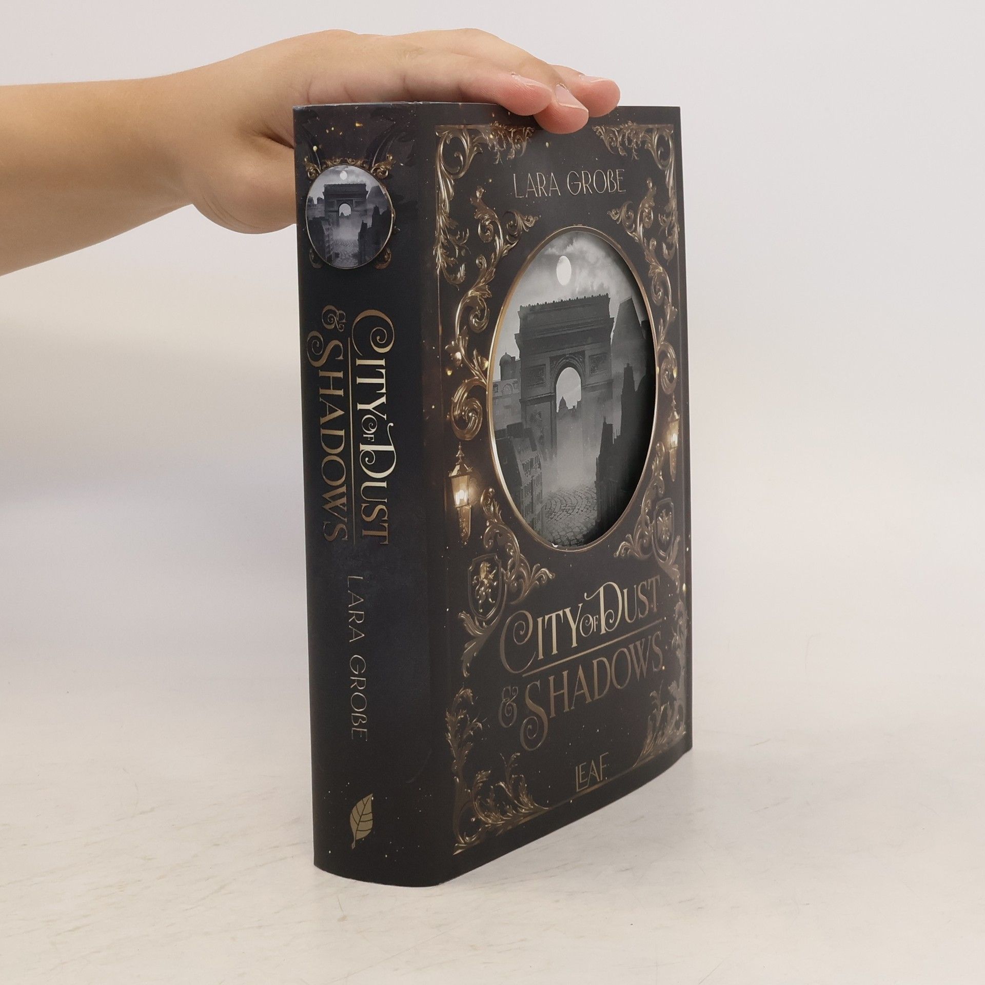 Lara Große City of Dust and Shadows