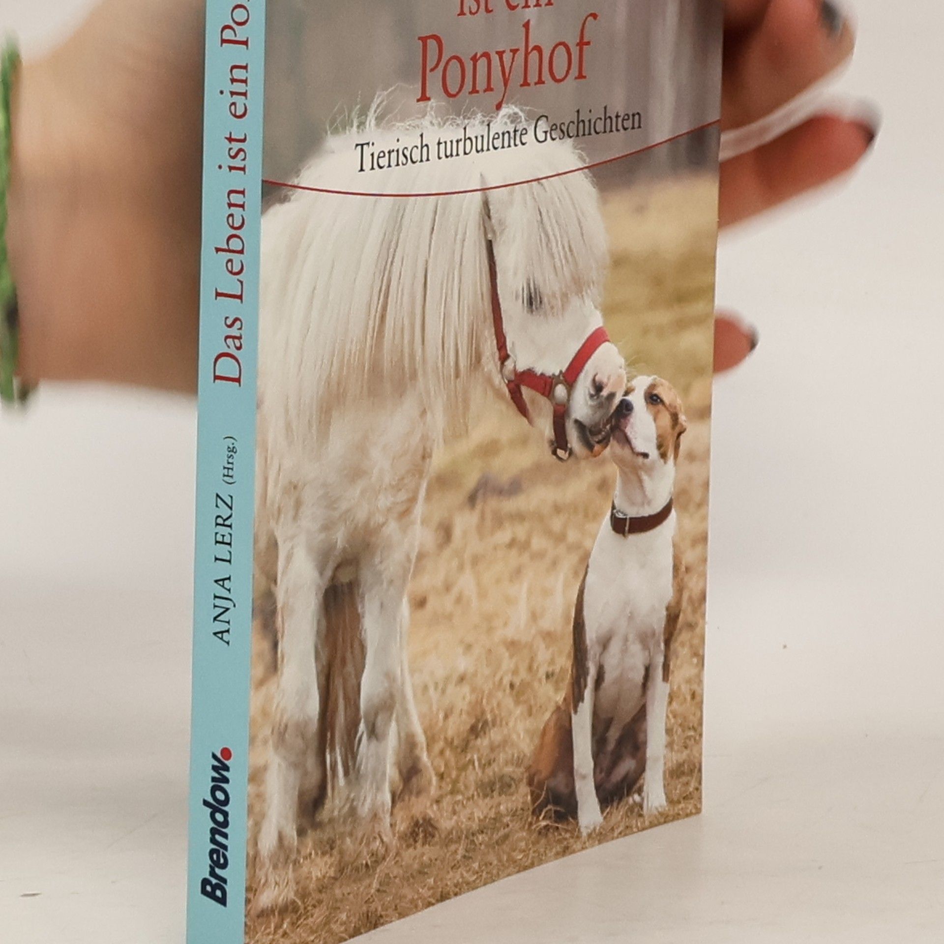 Anja Lerz Das Leben ist ein Ponyhof