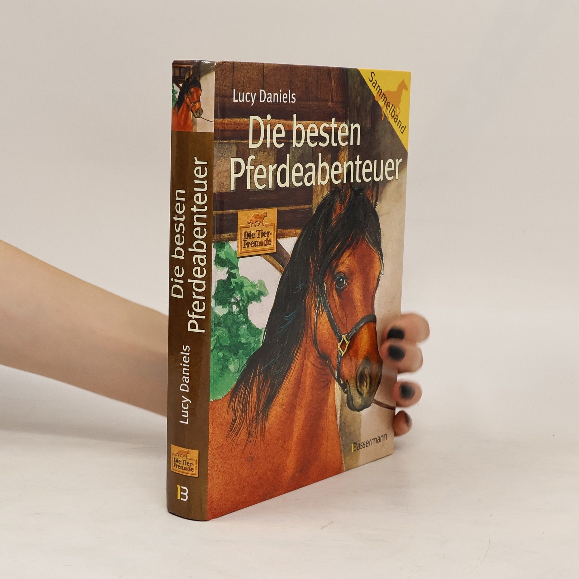 Lucy Daniels Die besten Pferdeabenteuer