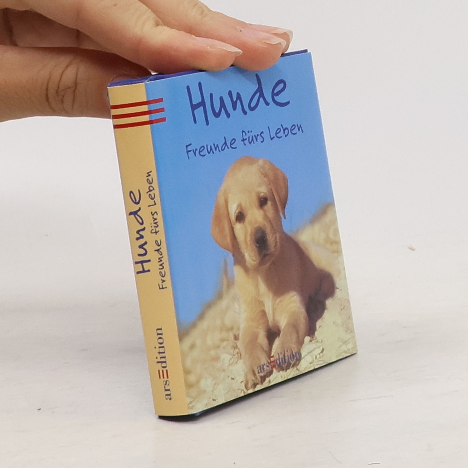 kolektiv Hunde