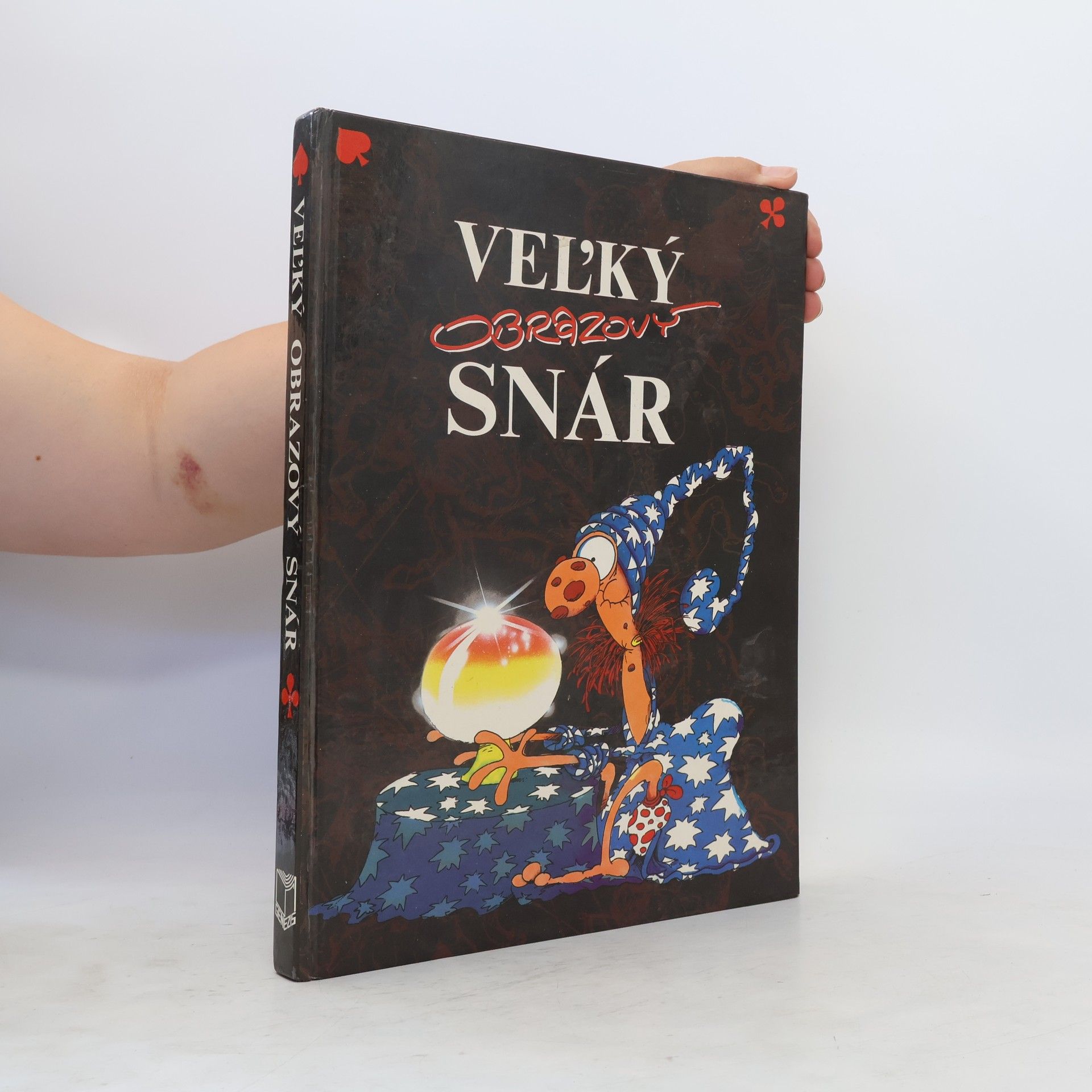 Collectif d'auteurs Veľký obrazový snár