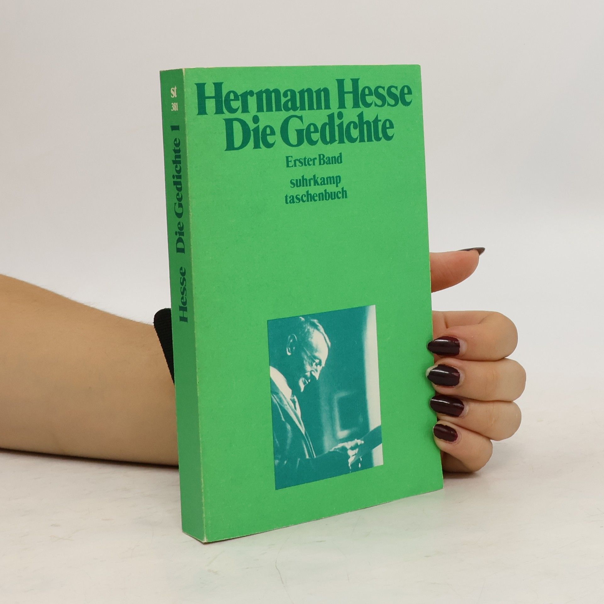 Hermann Hesse Die Gedichte