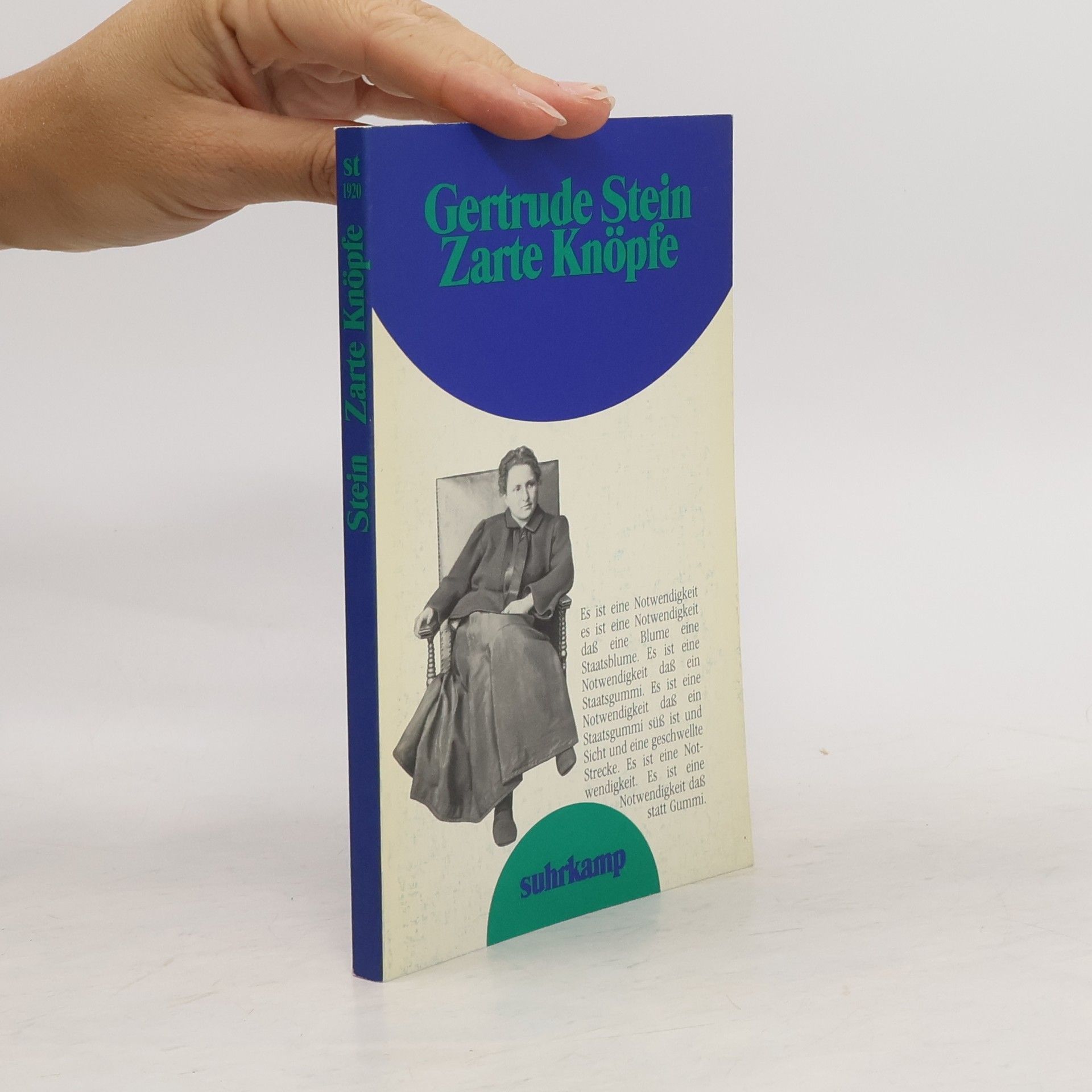Gertrude Stein Zarte Knöpfe