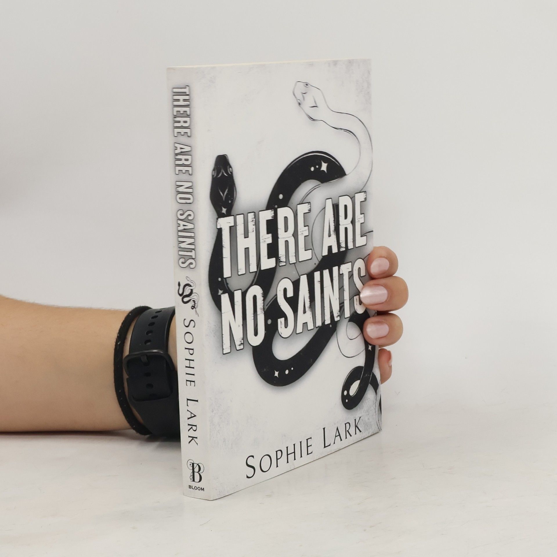 Sophie Lark There Are No Saints